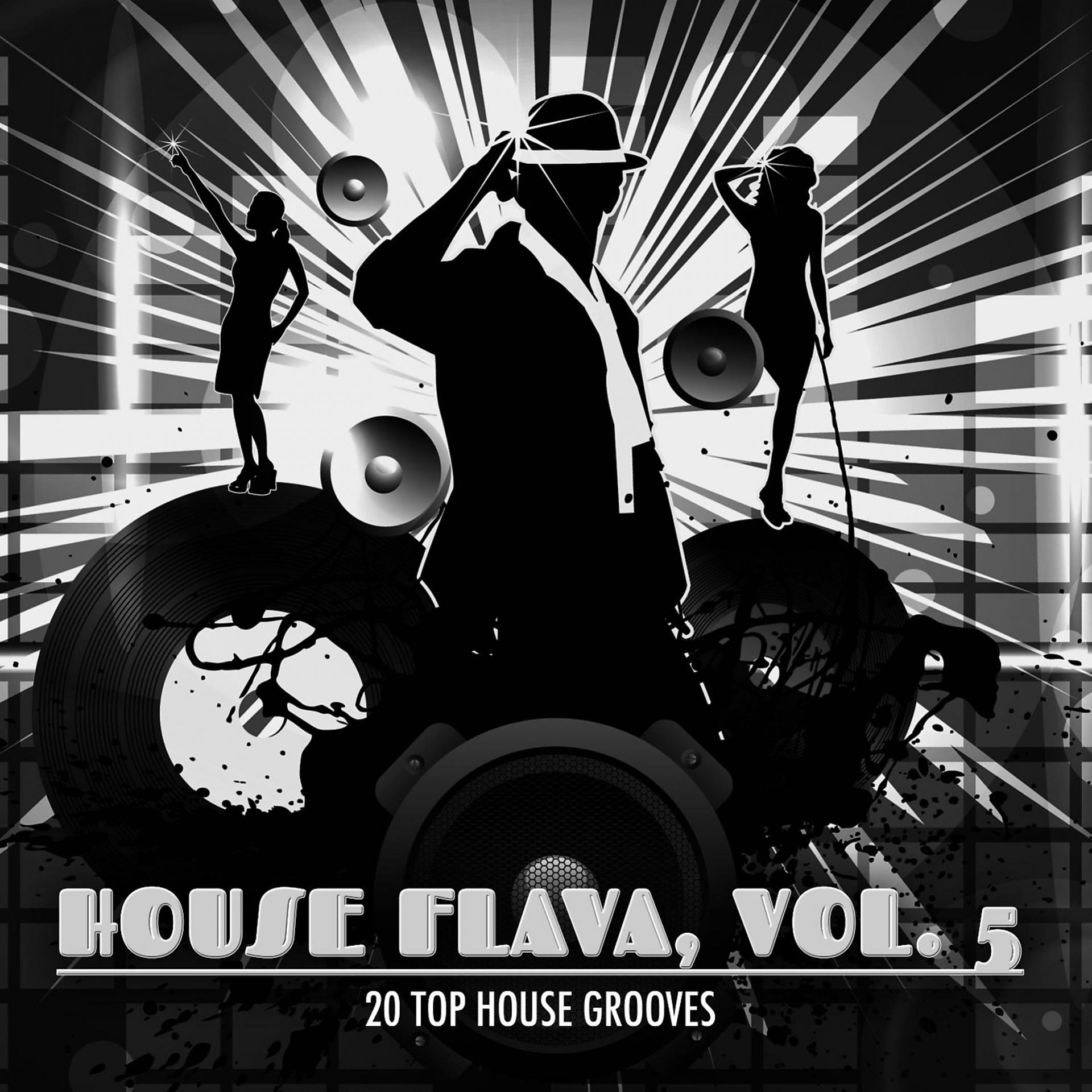 Постер альбома House Flava, Vol. 5