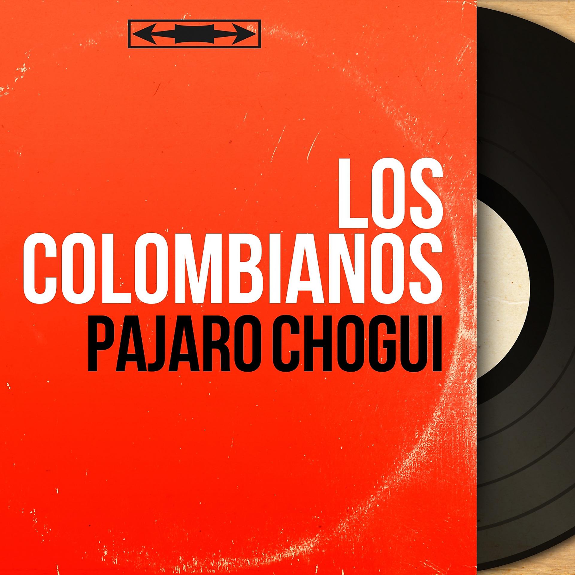 Постер альбома Pájaro Chogüí