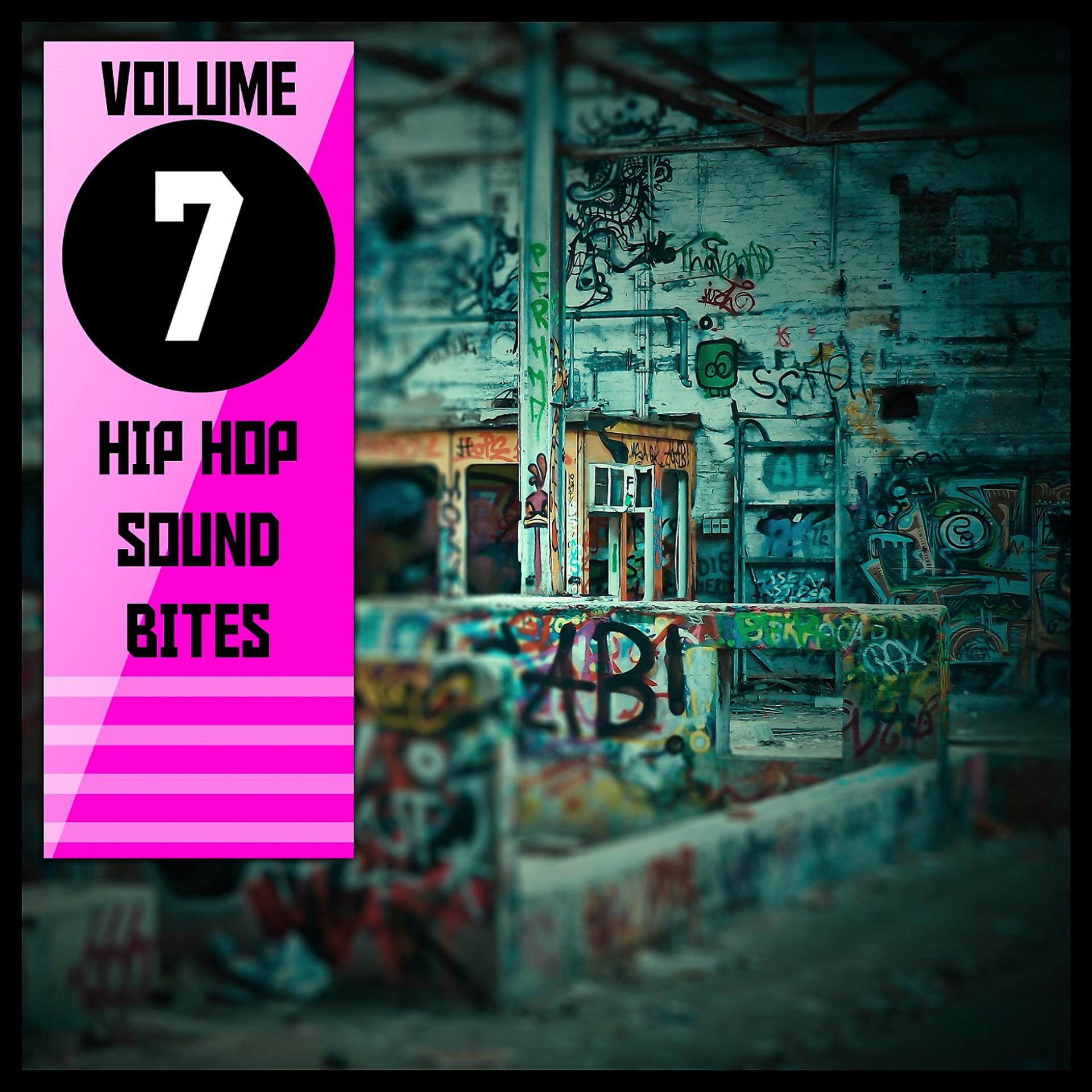 Постер альбома Hip Hop Sound Bites, Vol. 7