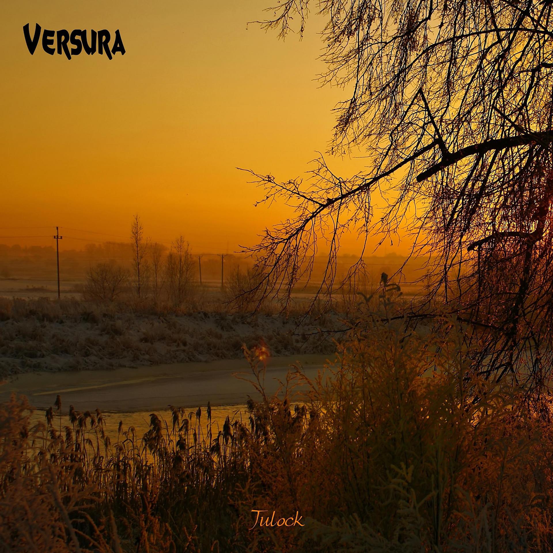 Постер альбома Versura