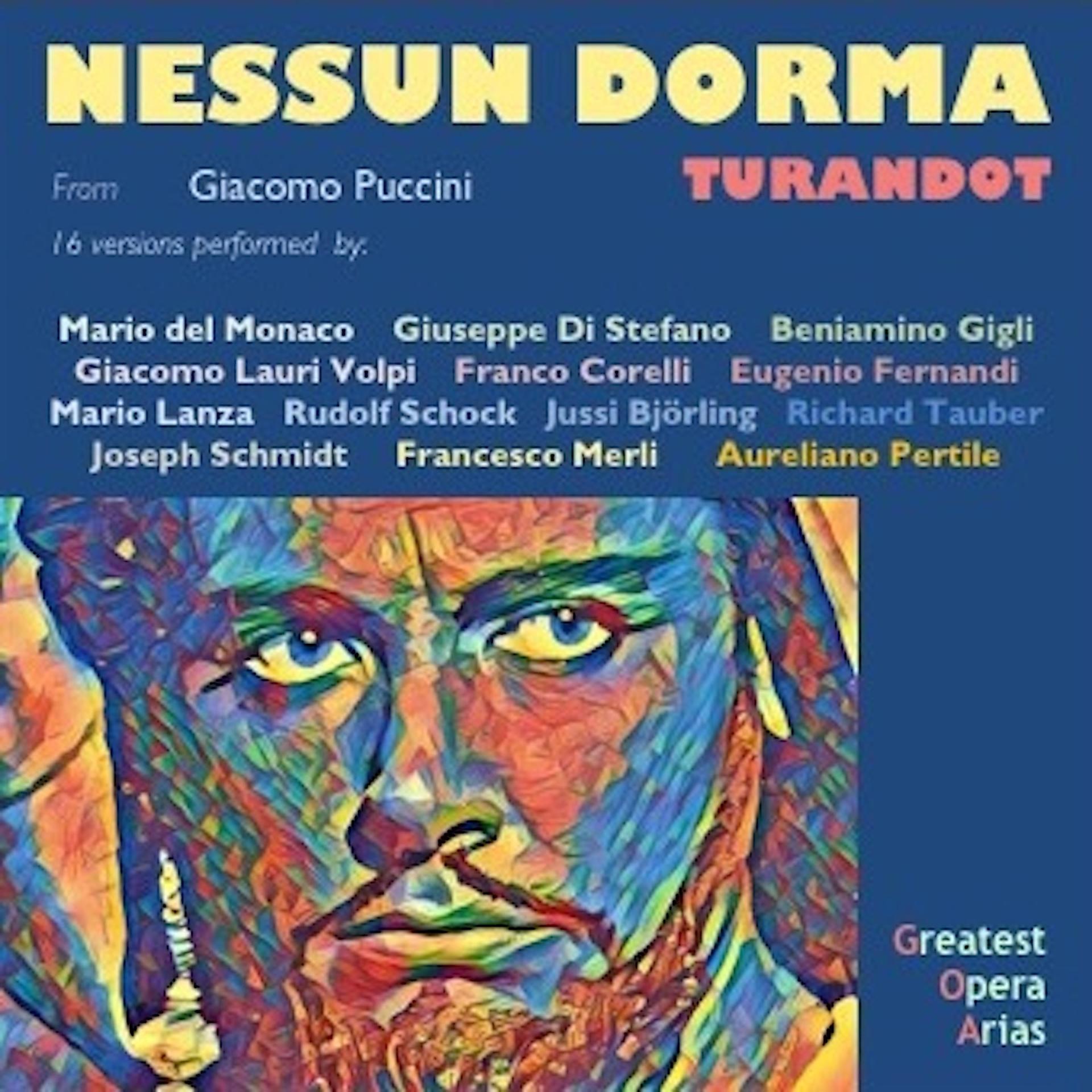 Постер альбома Nessun Dorma