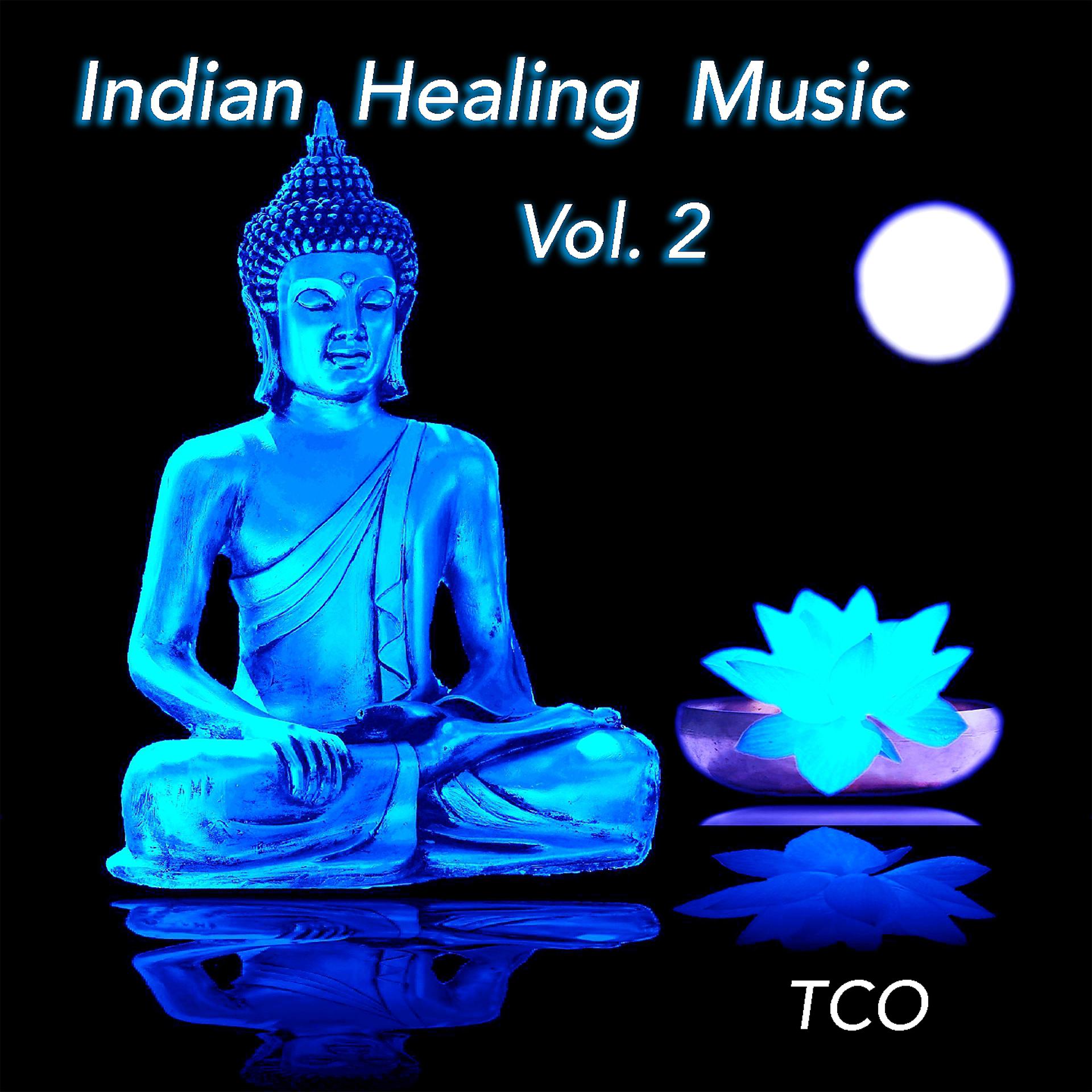 Постер альбома Indian Healing Music, Vol. 2