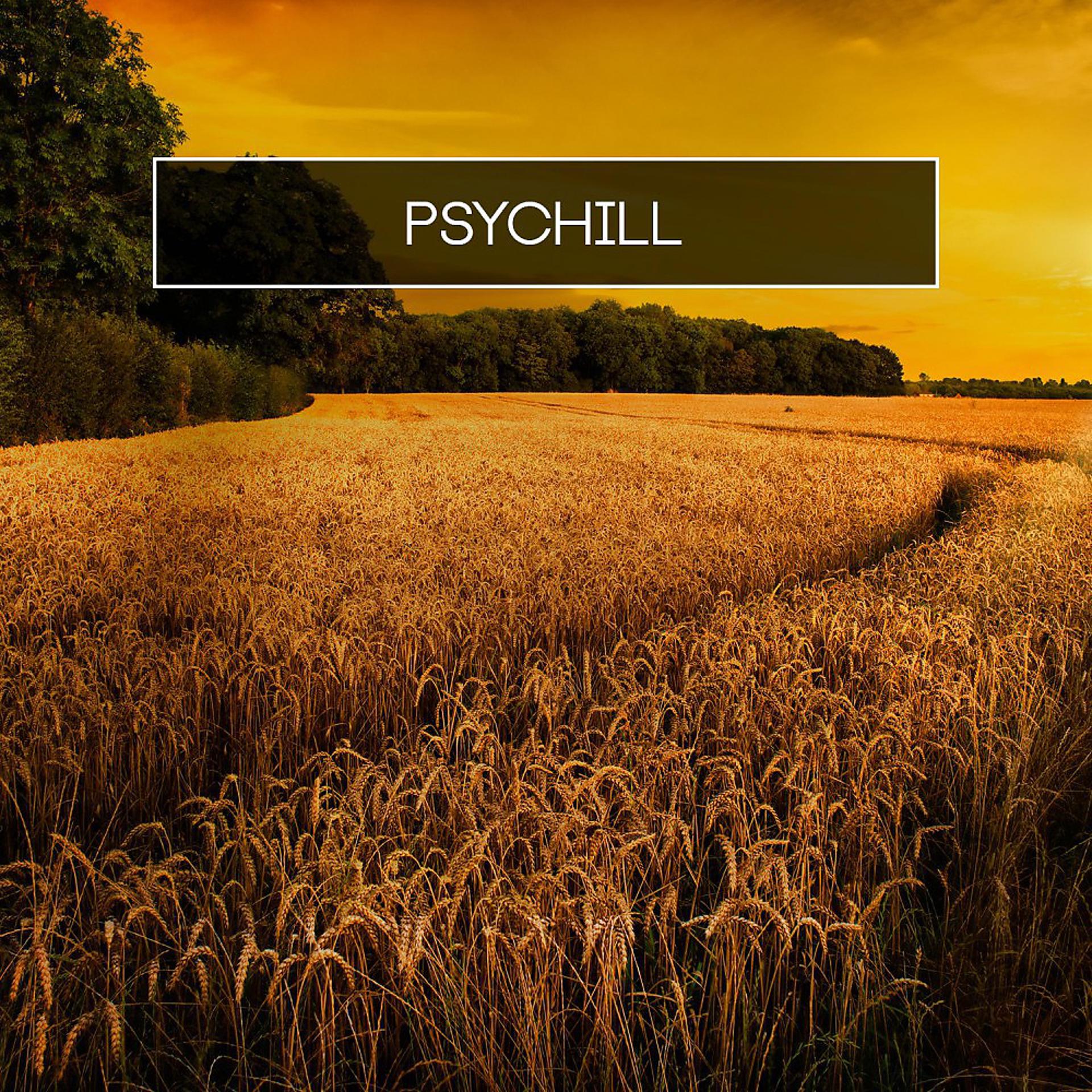Постер альбома Psychill