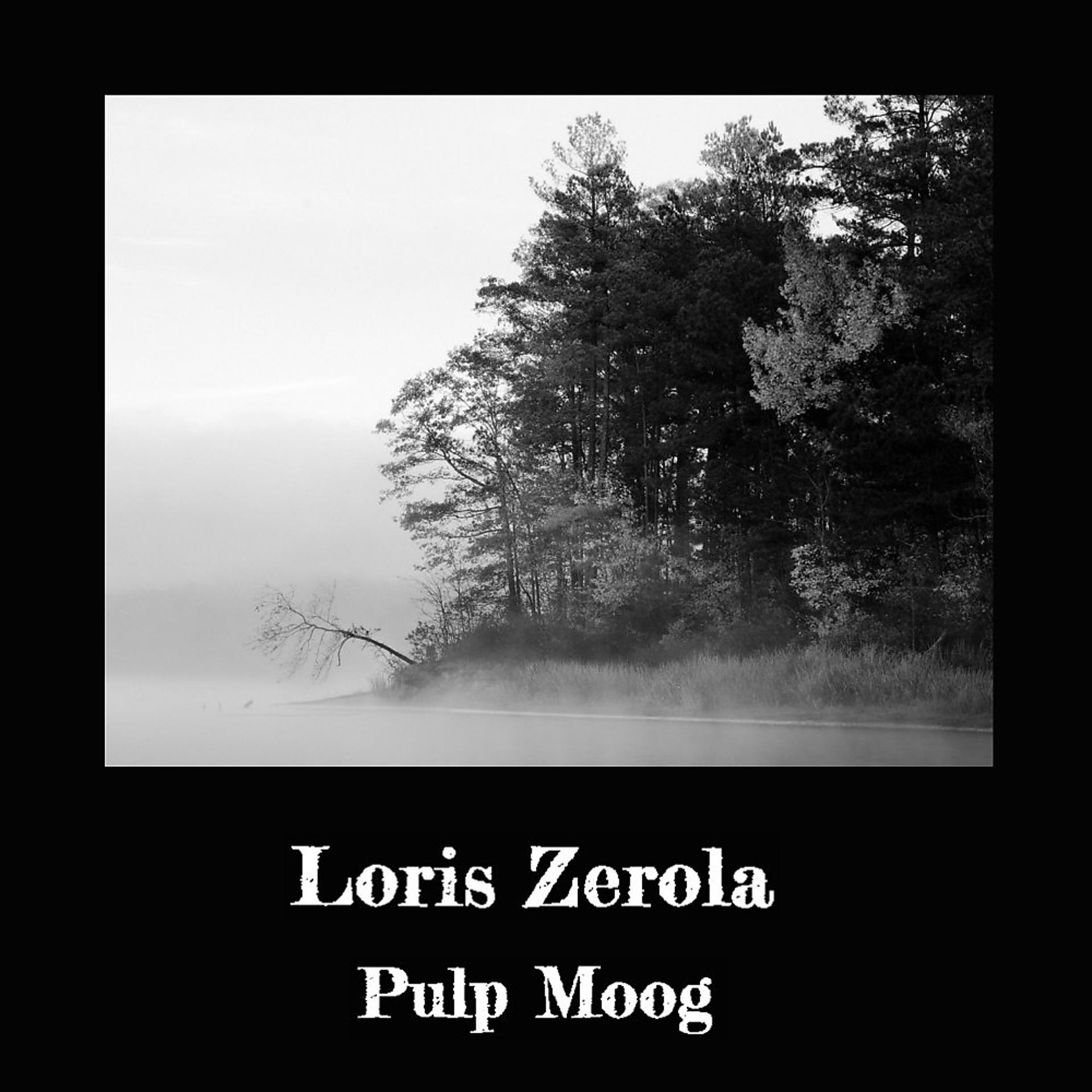 Постер альбома Pulp Moog