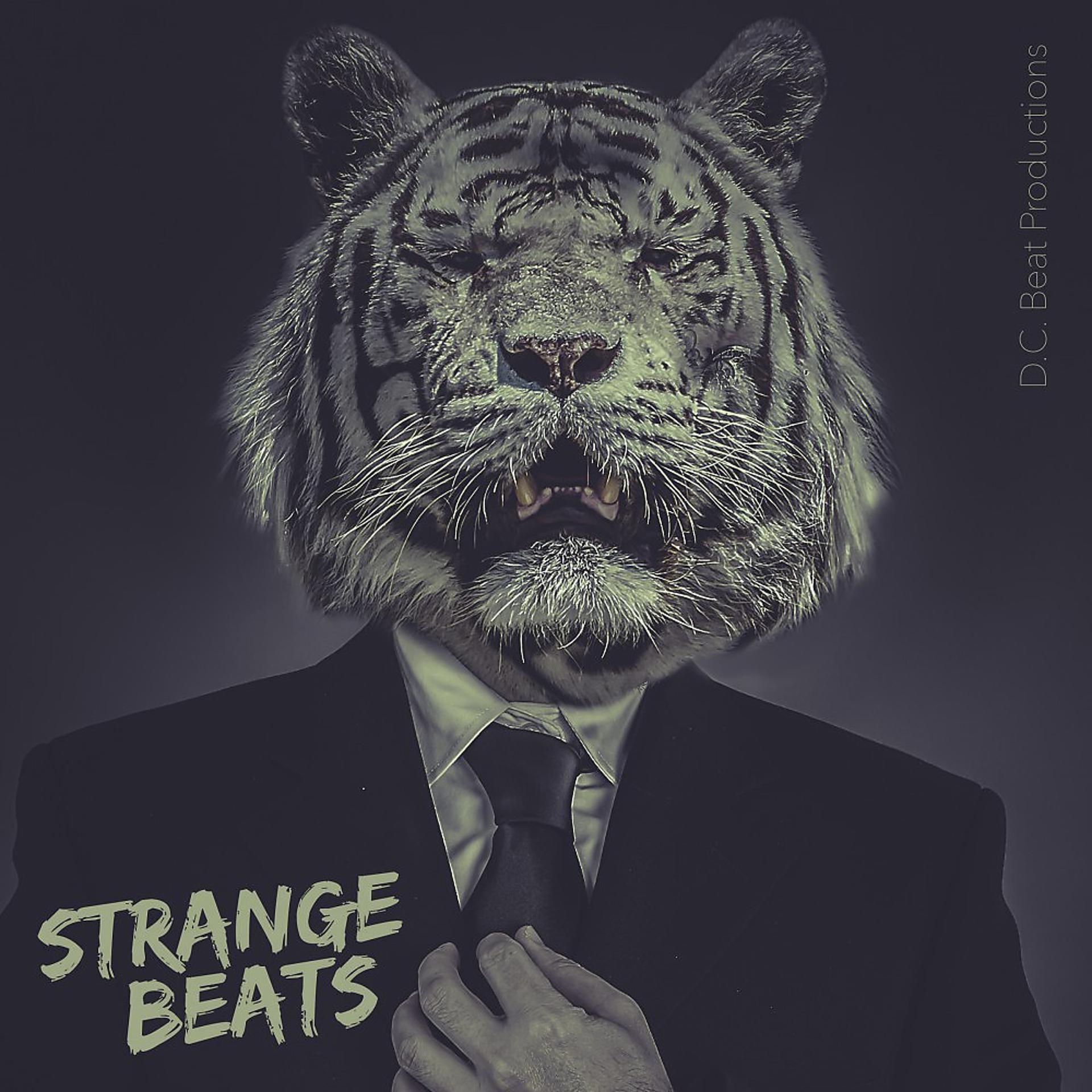 Постер альбома Strange Beats