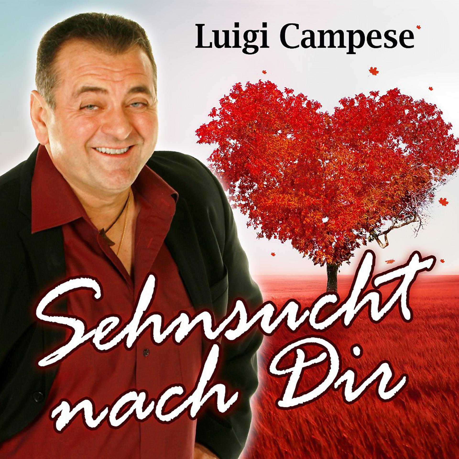 Постер альбома Sehnsucht nach dir
