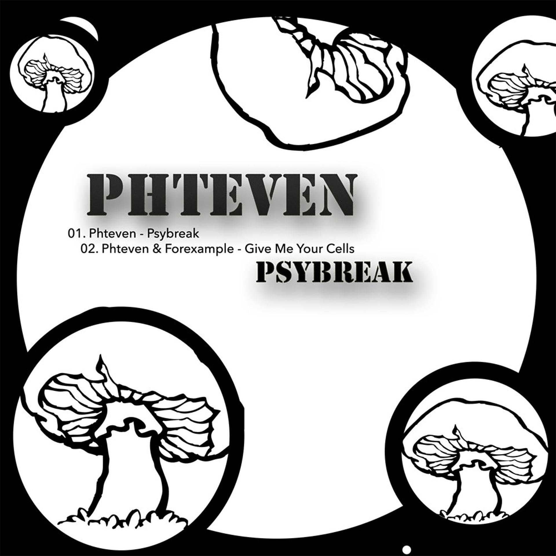 Постер альбома Psybreak