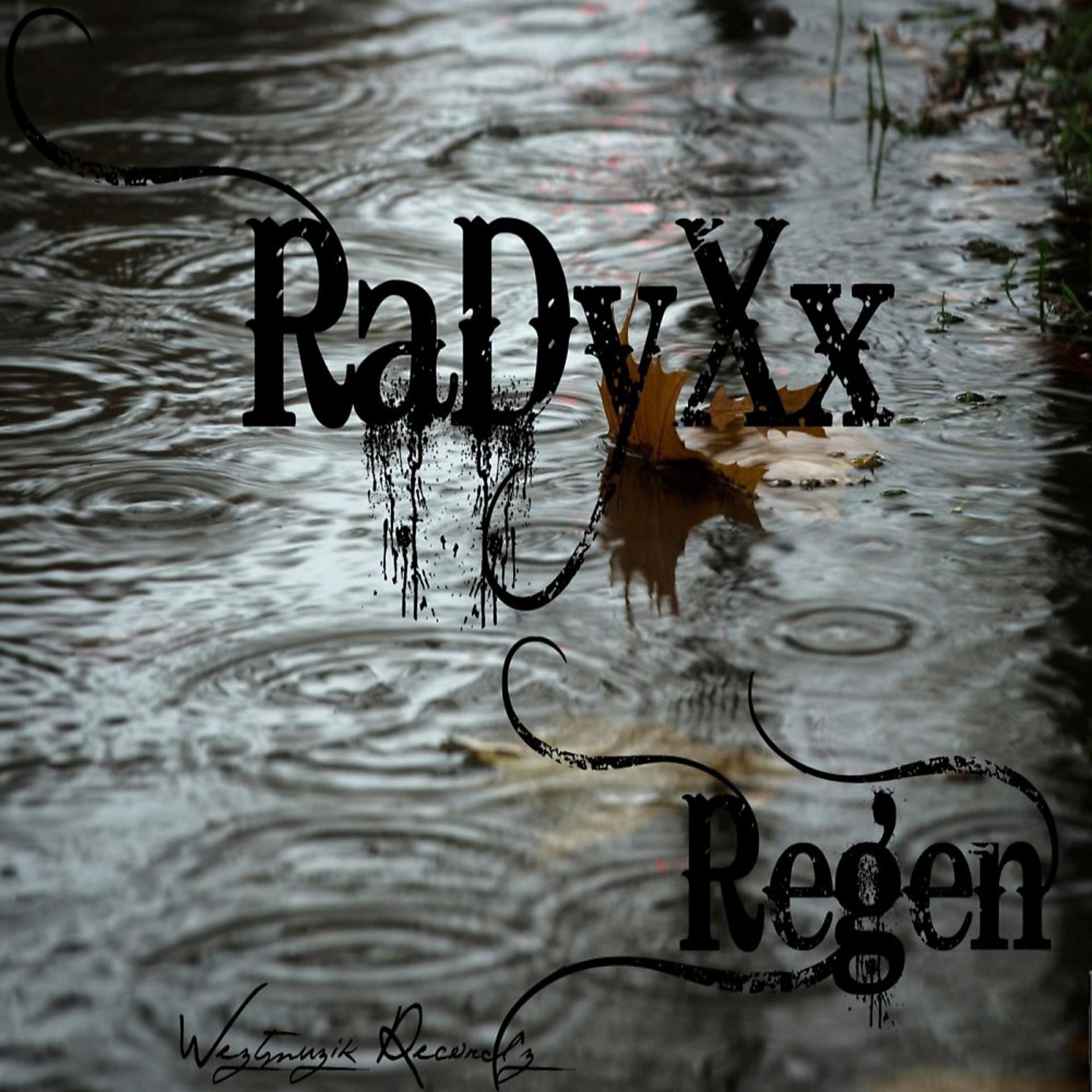 Постер альбома Regen