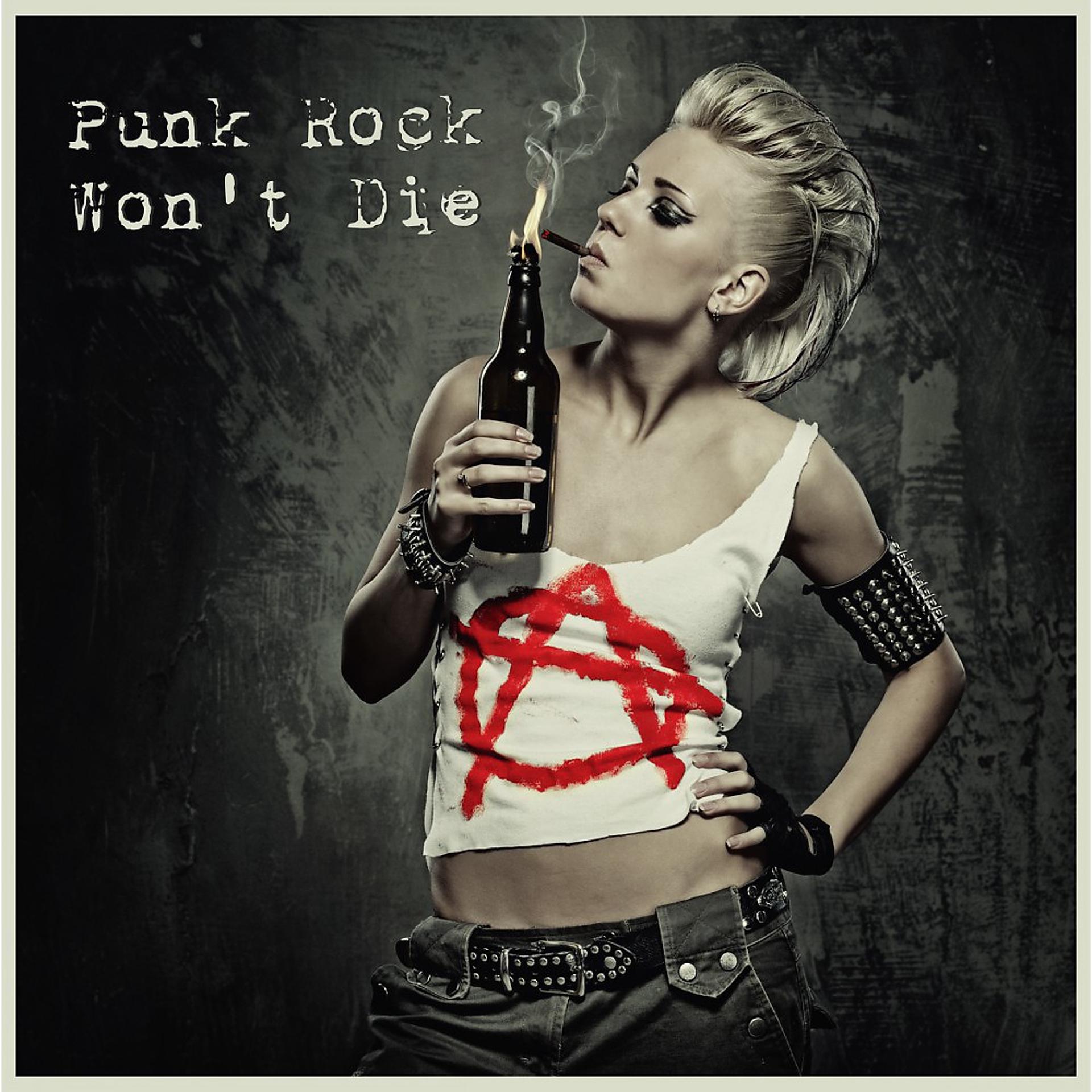 Постер альбома Punk Rock Won't Die