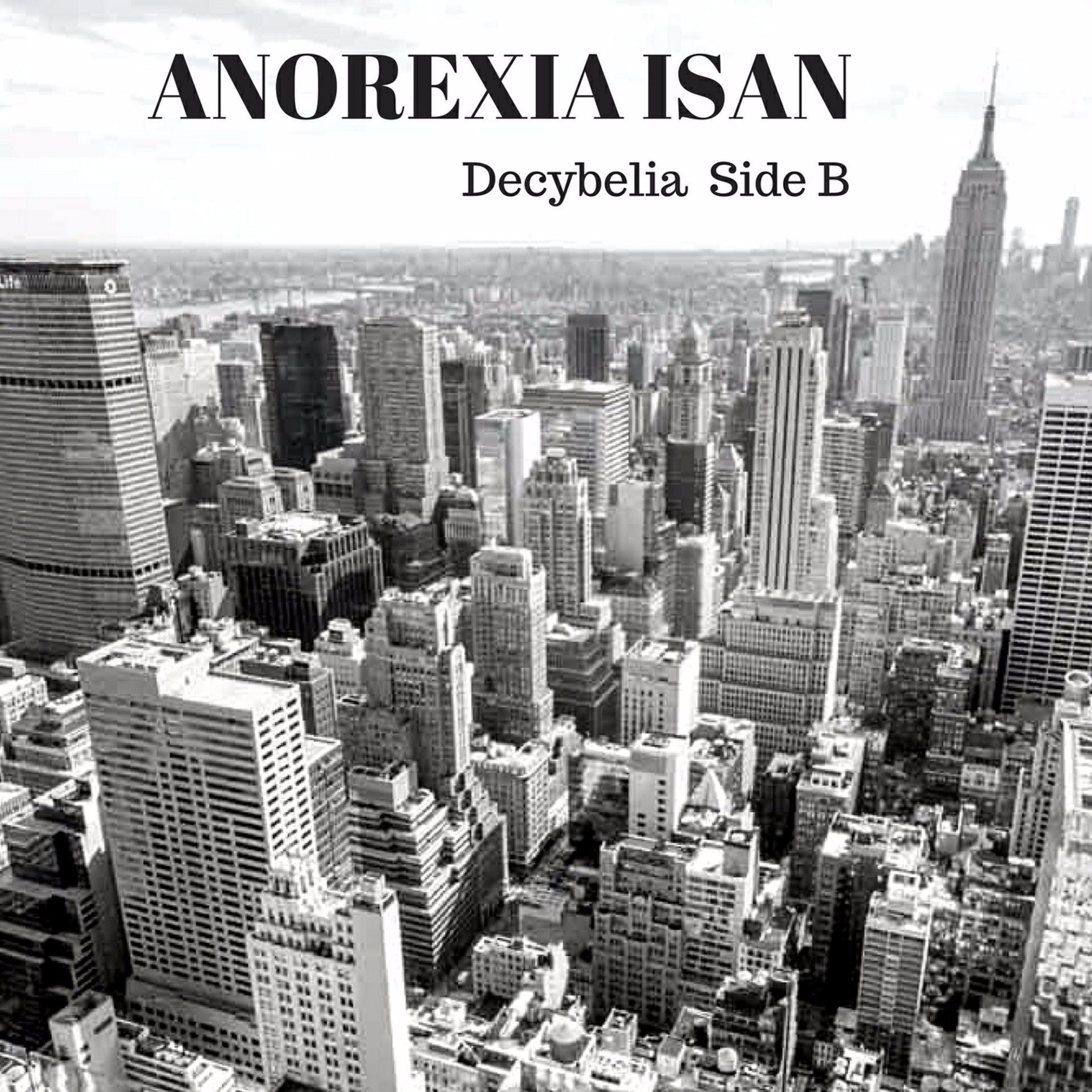 Постер альбома Decybelia Side B