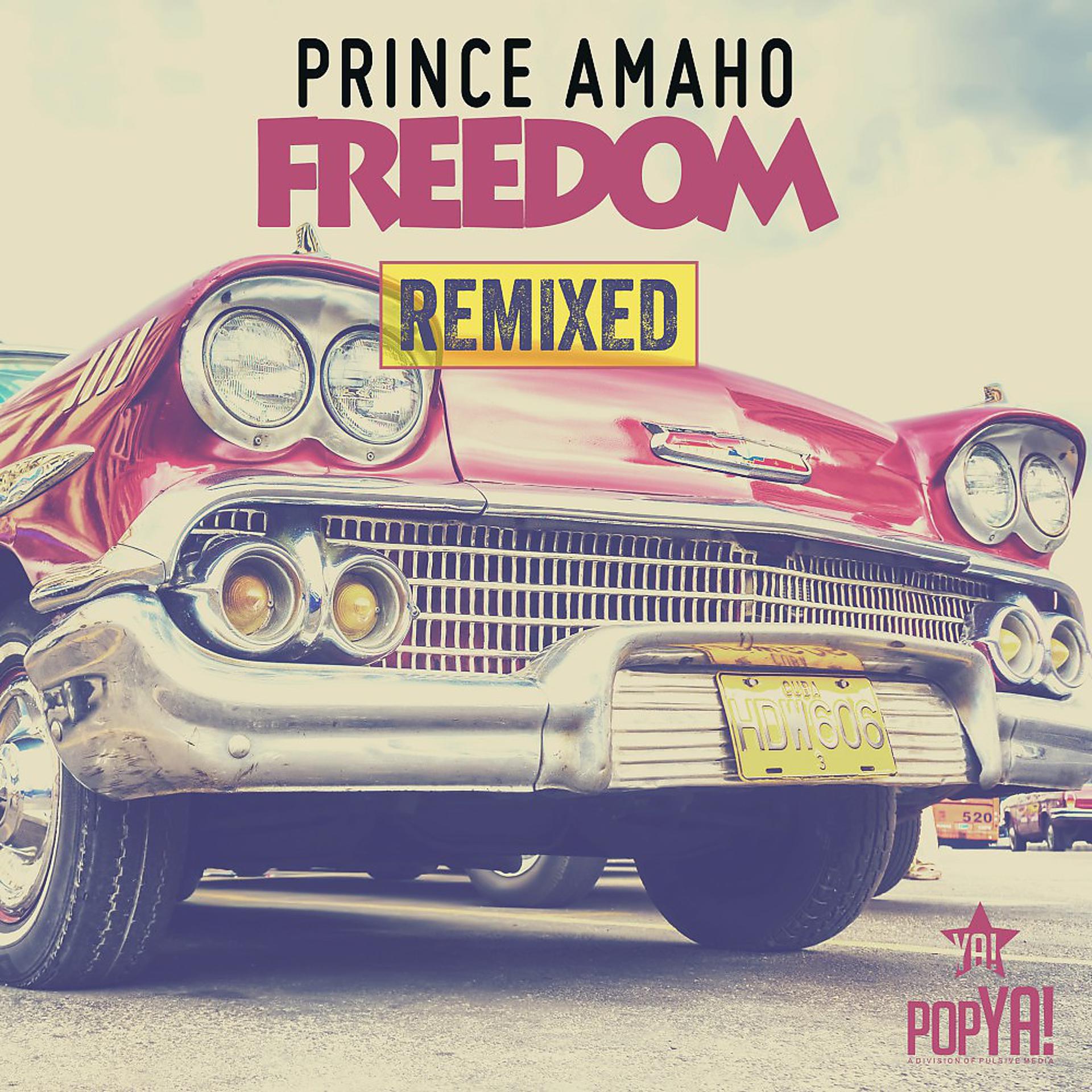 Постер альбома Freedom (Remix Edition)
