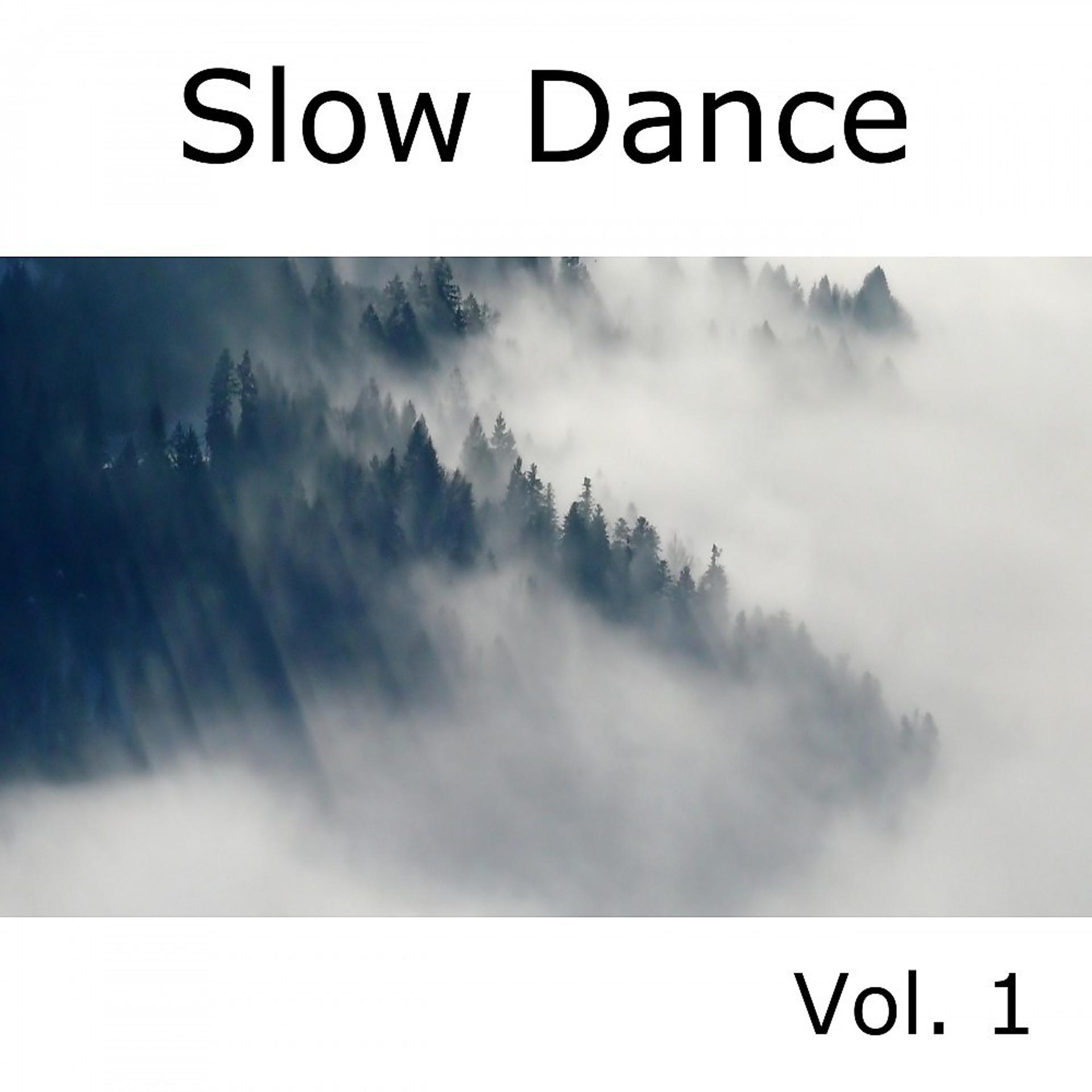 Постер альбома Slow Dance, Vol. 1