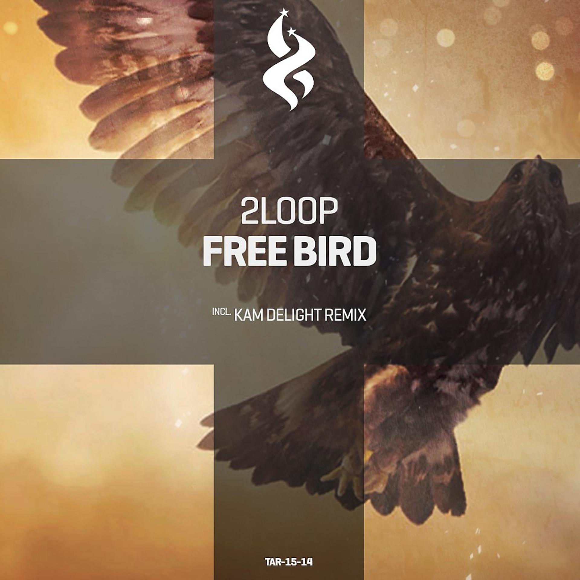 Постер альбома Free Bird