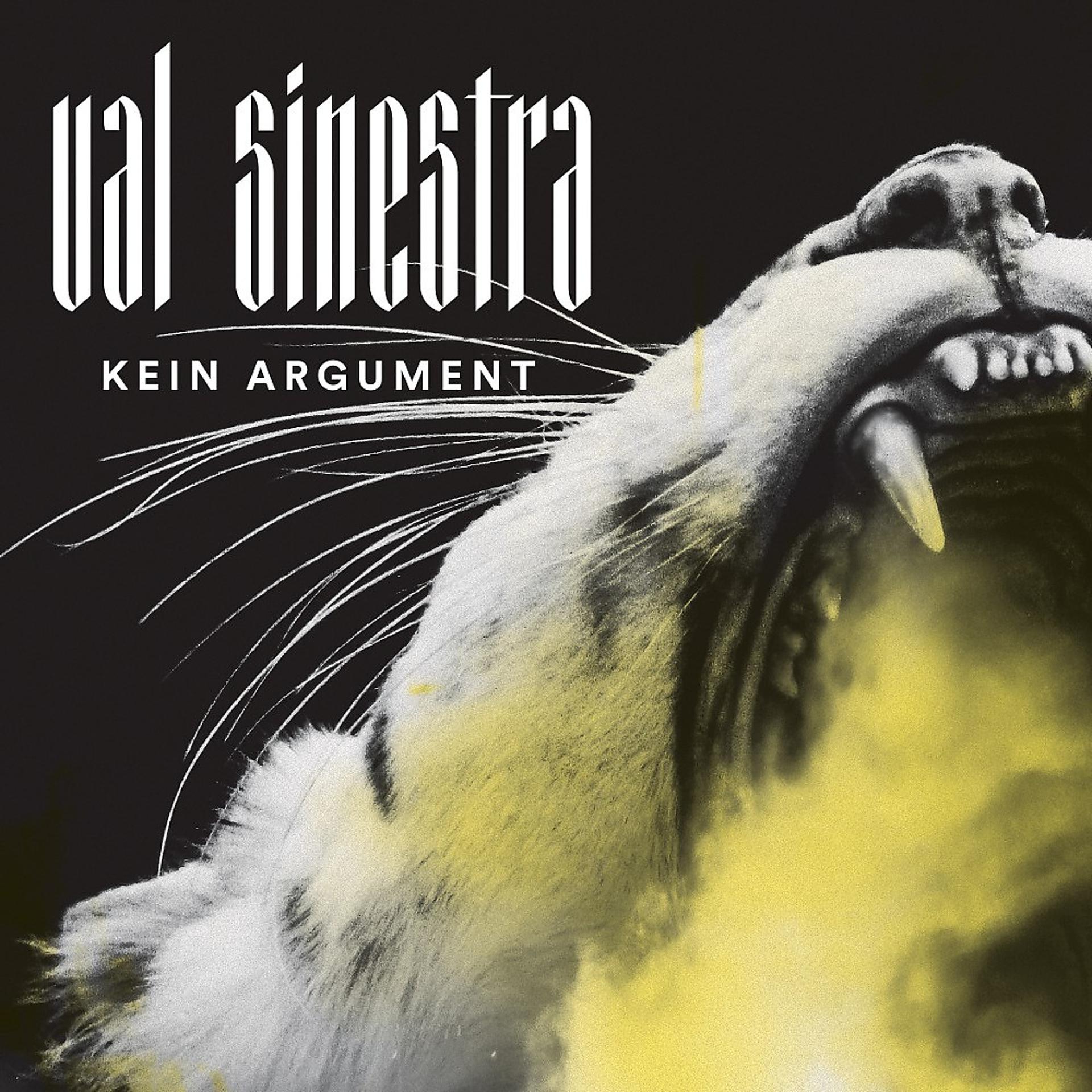Постер альбома Kein Argument