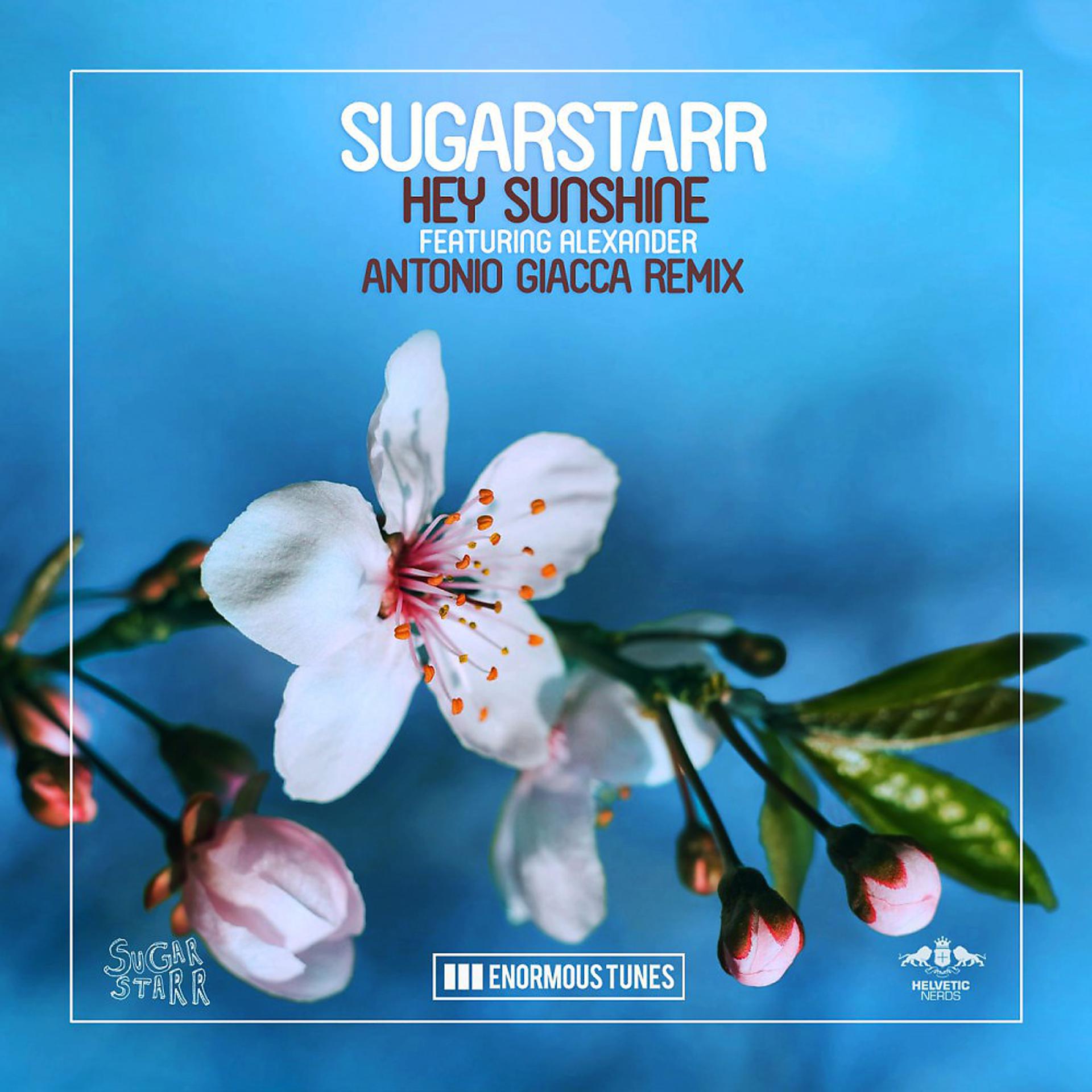 Постер альбома Hey Sunshine (Antonio Giacca Remix)