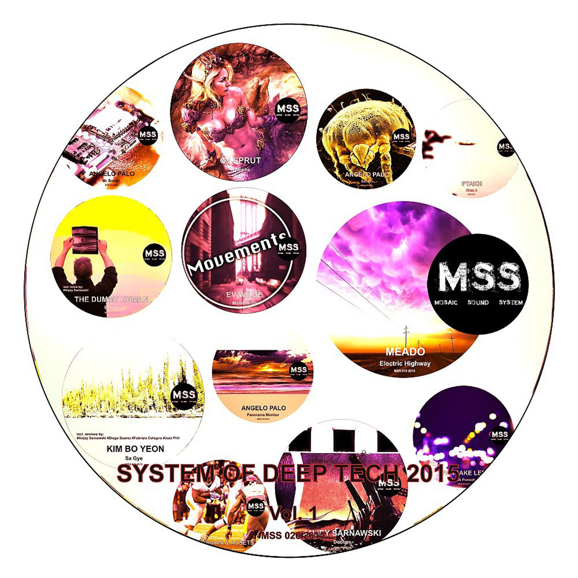 Постер альбома System of Deep Tech 2015, Vol. 1