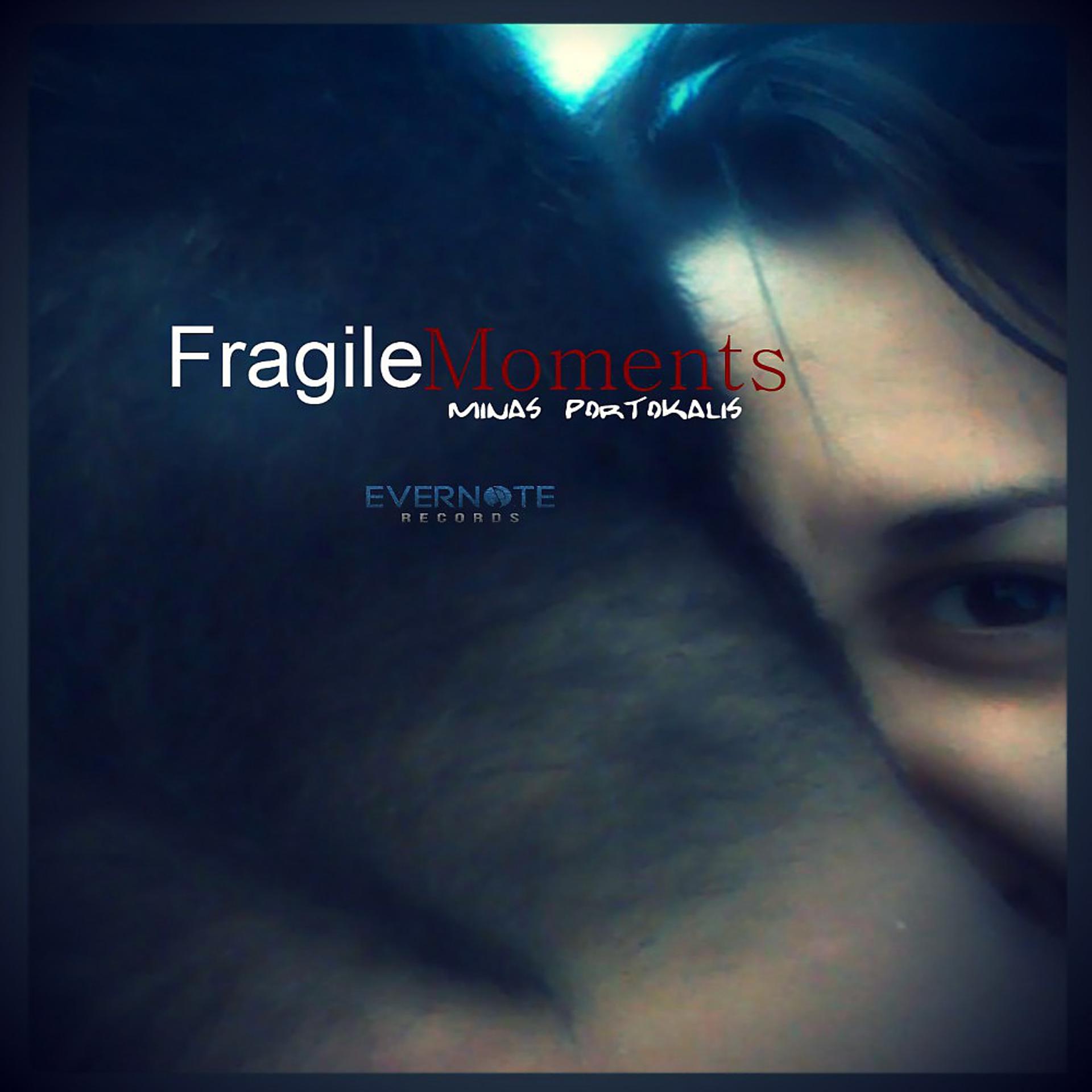 Постер альбома Fragile Moments
