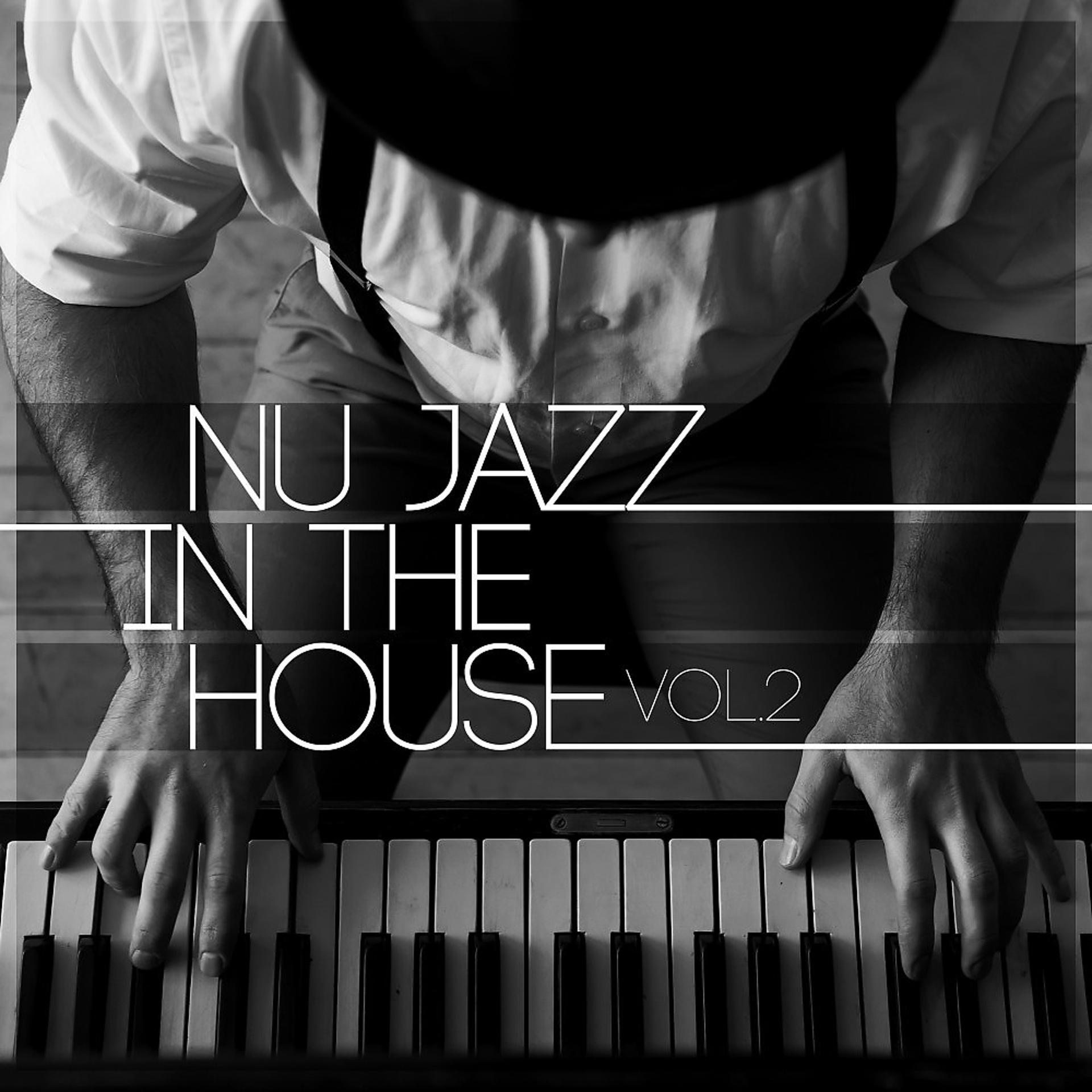 Постер альбома Nu Jazz in the House, Vol. 2