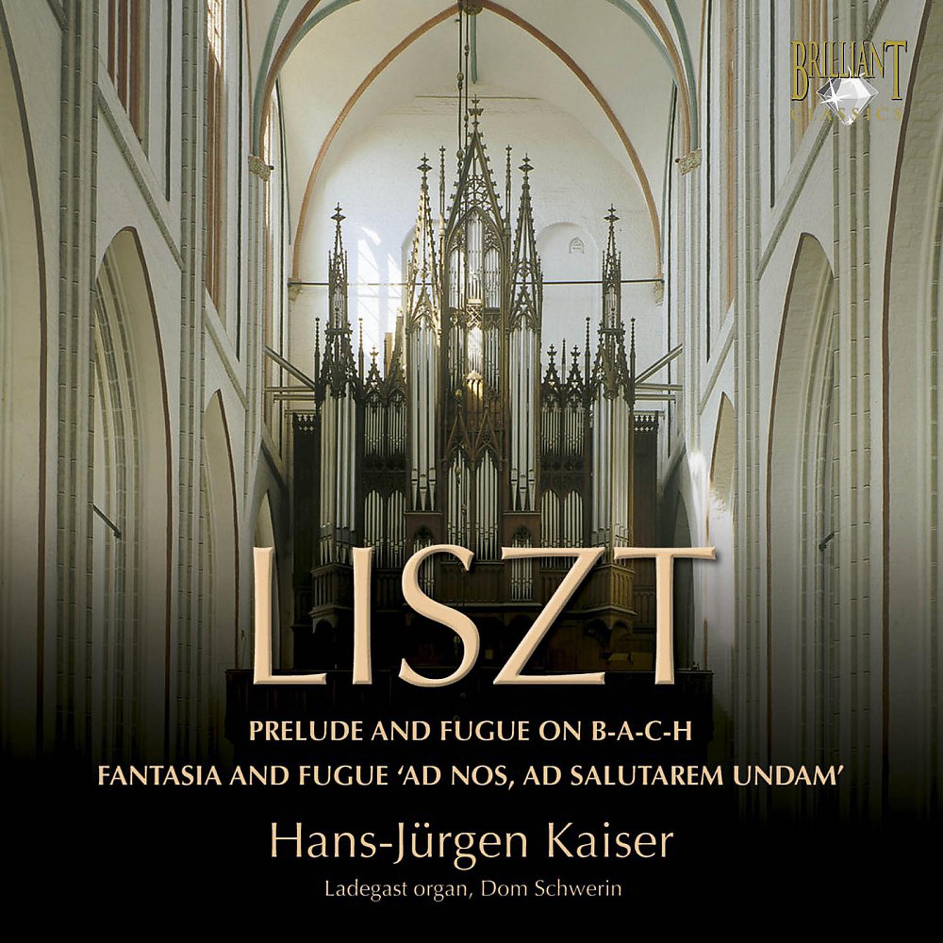Постер альбома Liszt: Organ Works