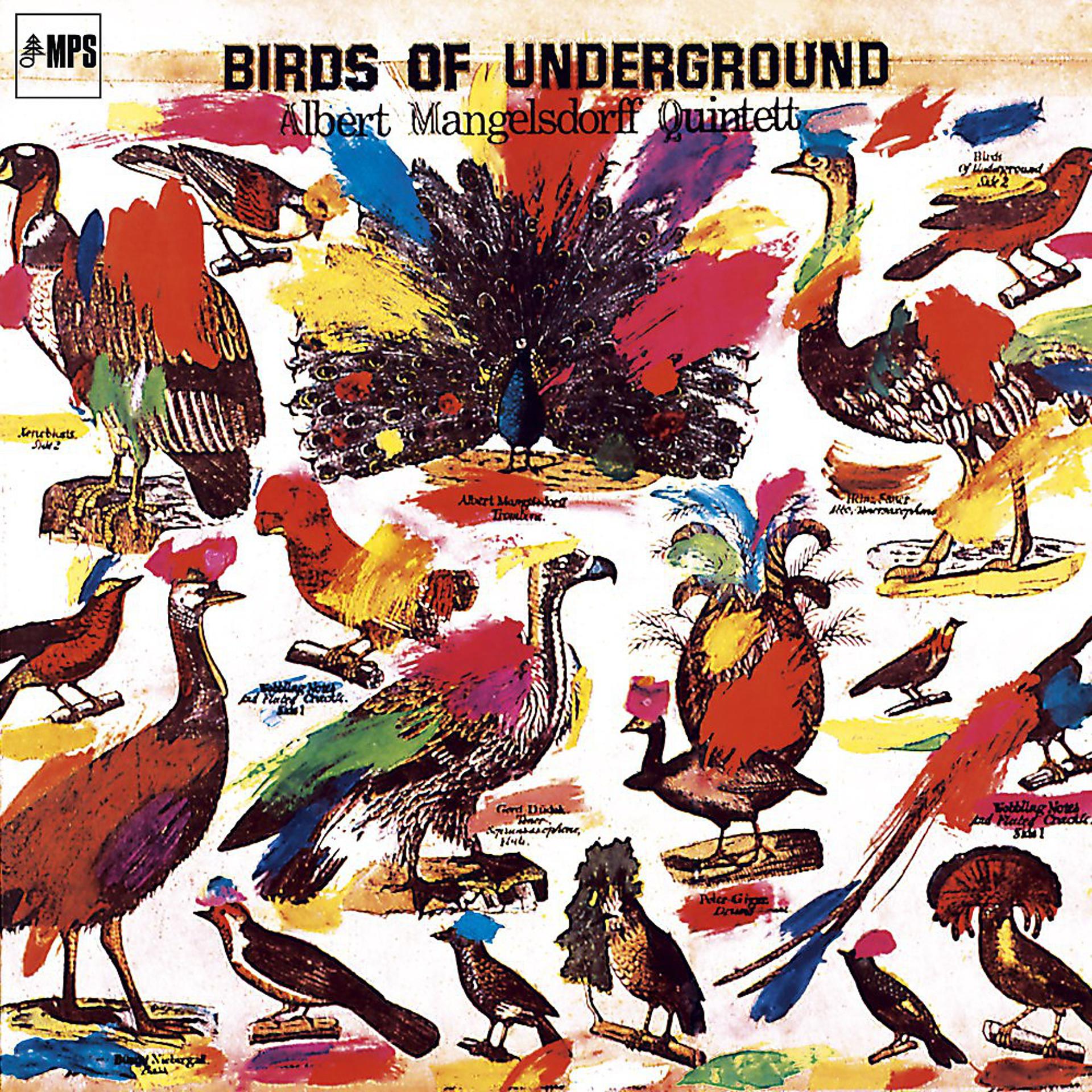 Постер альбома Birds of Underground
