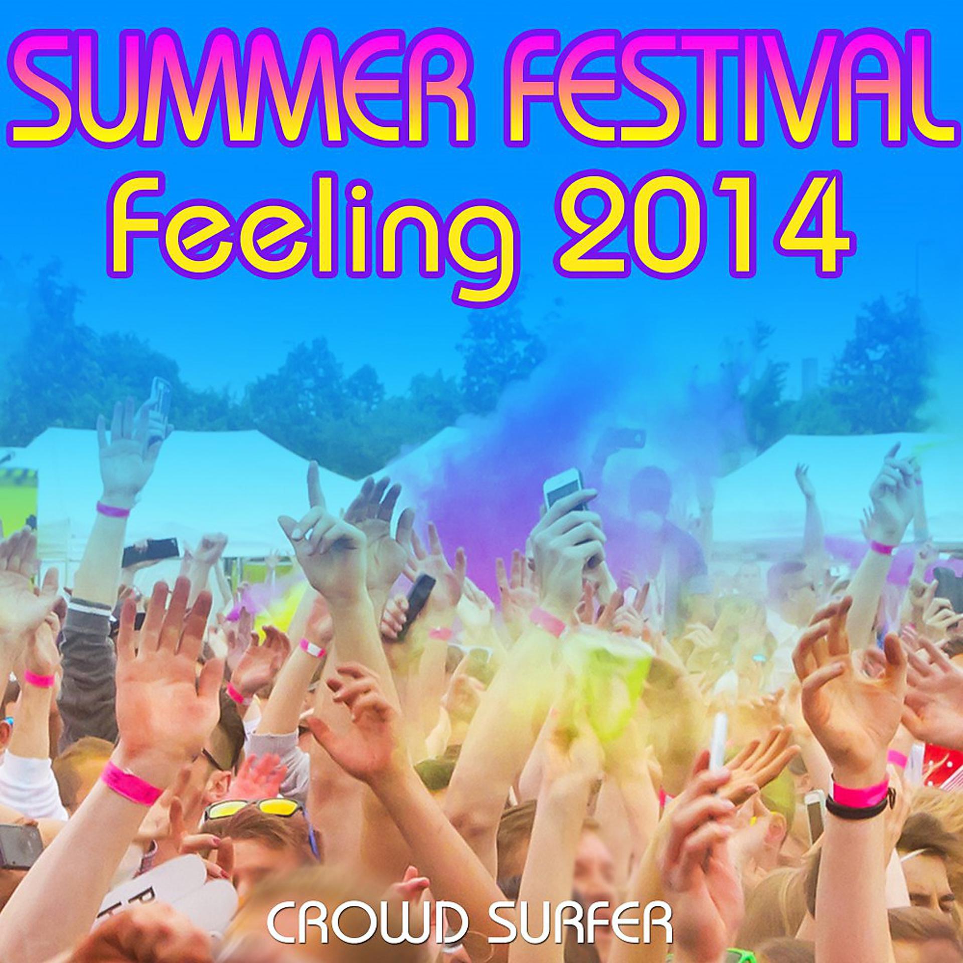 Постер альбома Summer Festival Feeling 2014
