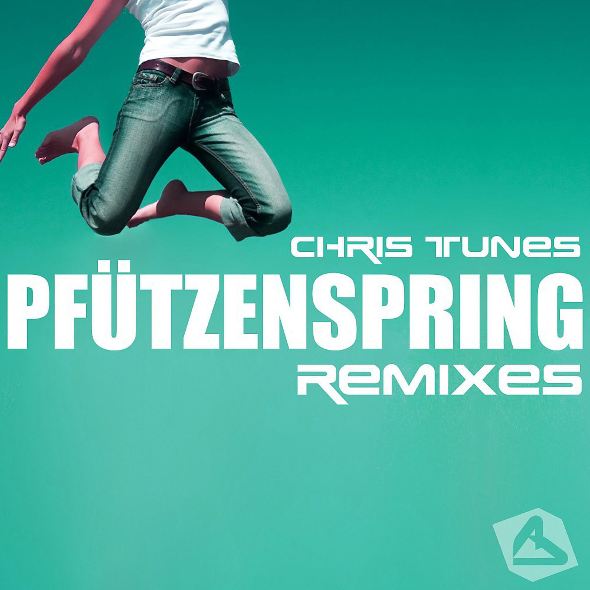 Постер альбома Pfützenspring - Remixes