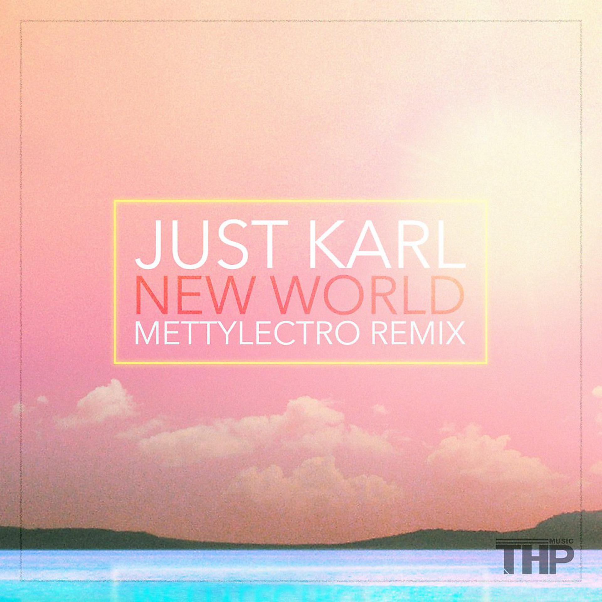 Постер альбома New World (Mettylectro Remix)