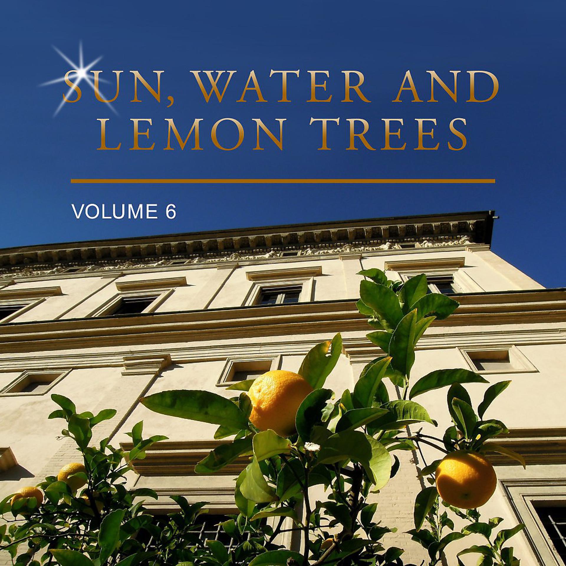 Постер альбома Sun, Water and Lemon Trees, Vol. 6