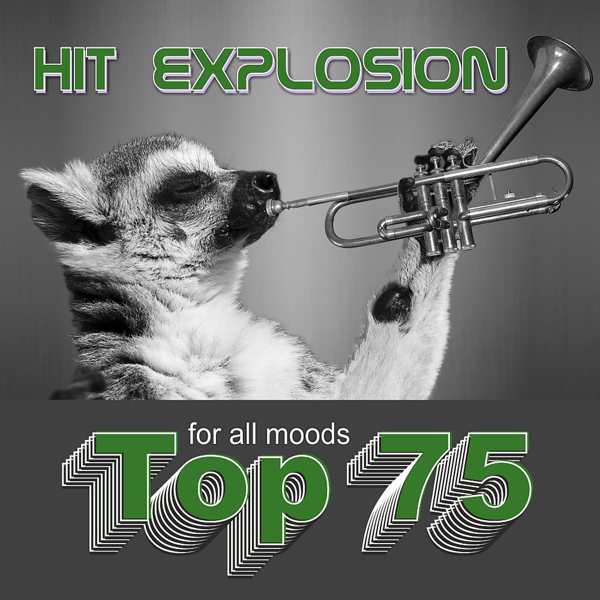Постер альбома Hit Explosion: Top 75 for All Moods