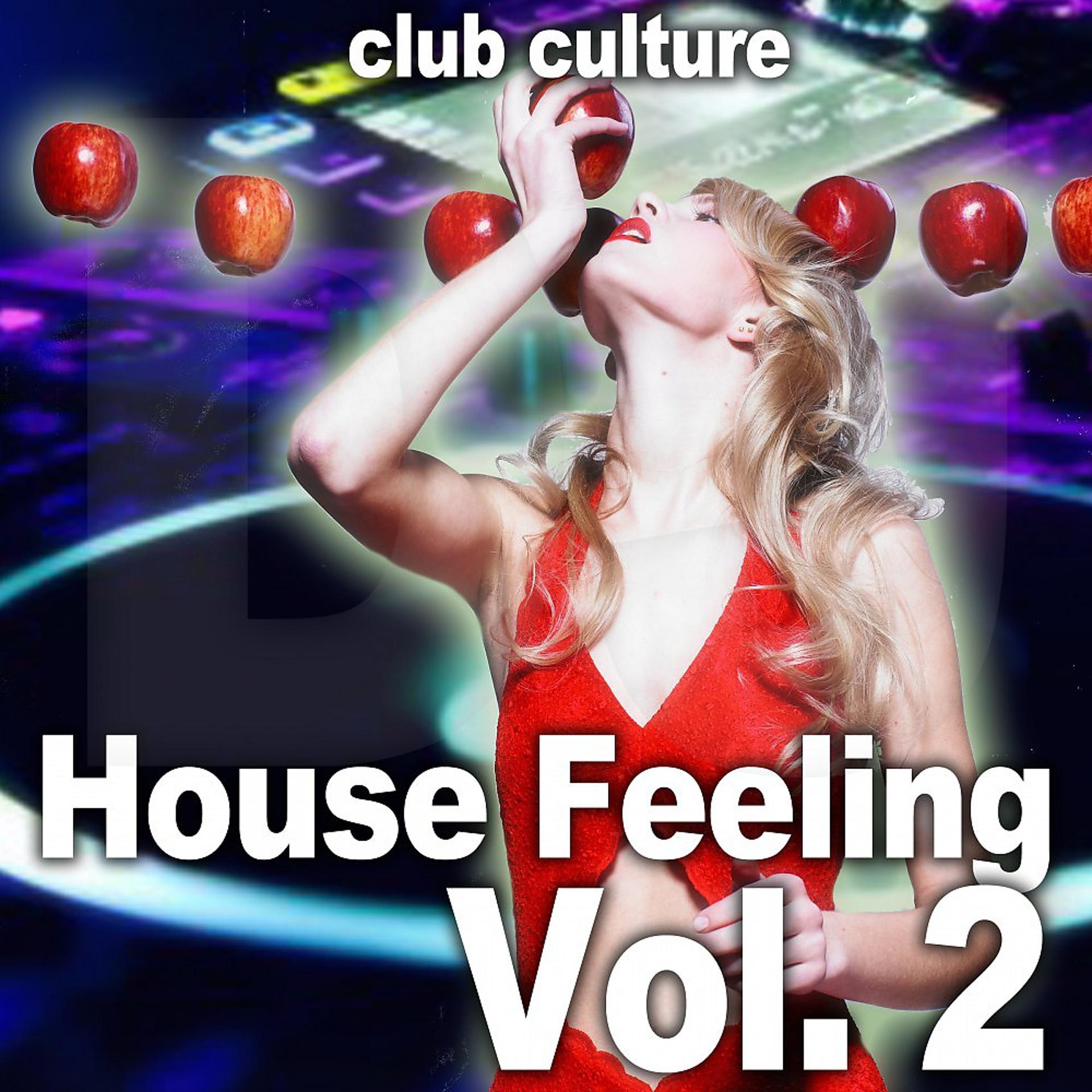 Постер альбома House Feeling, Vol. 2 (Club Culture)