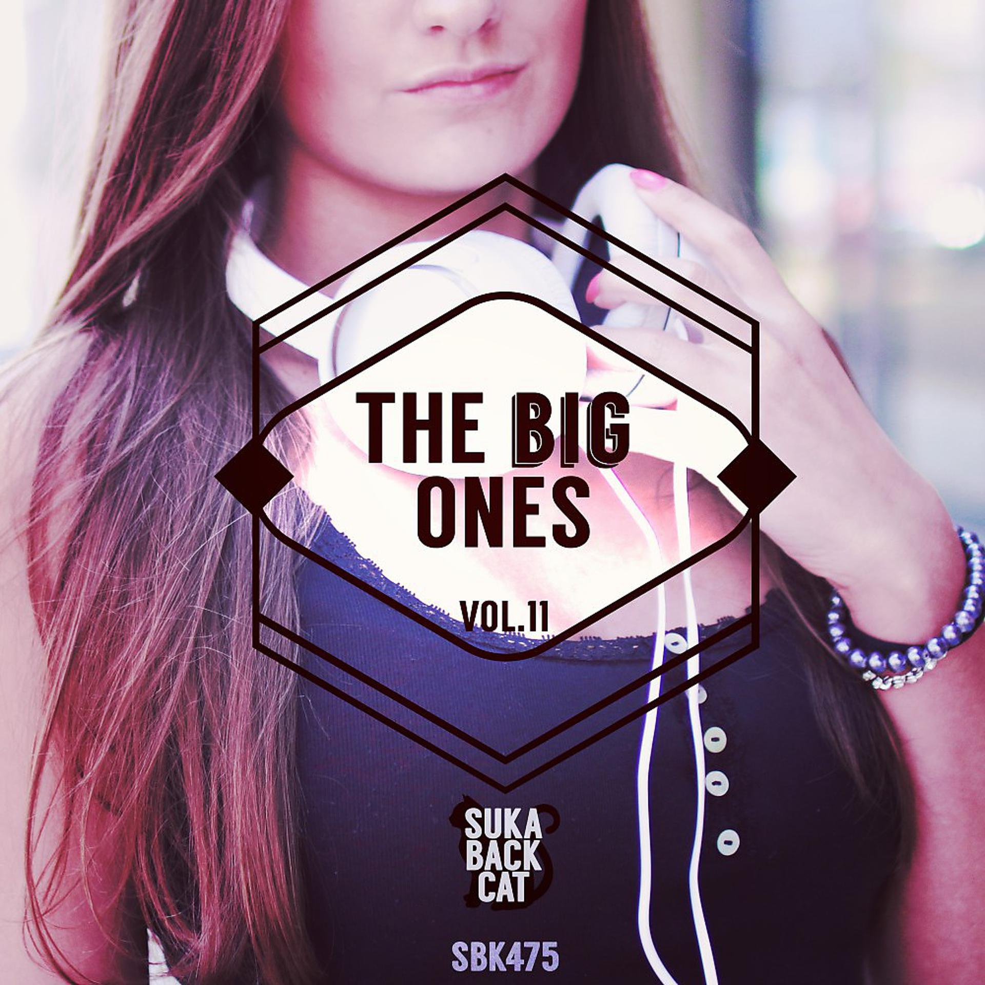 Постер альбома The Big Ones, Vol. 11