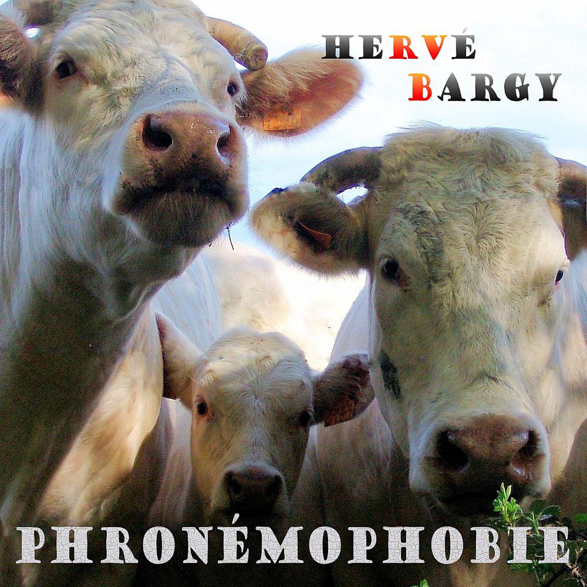 Постер альбома Phronémophobie