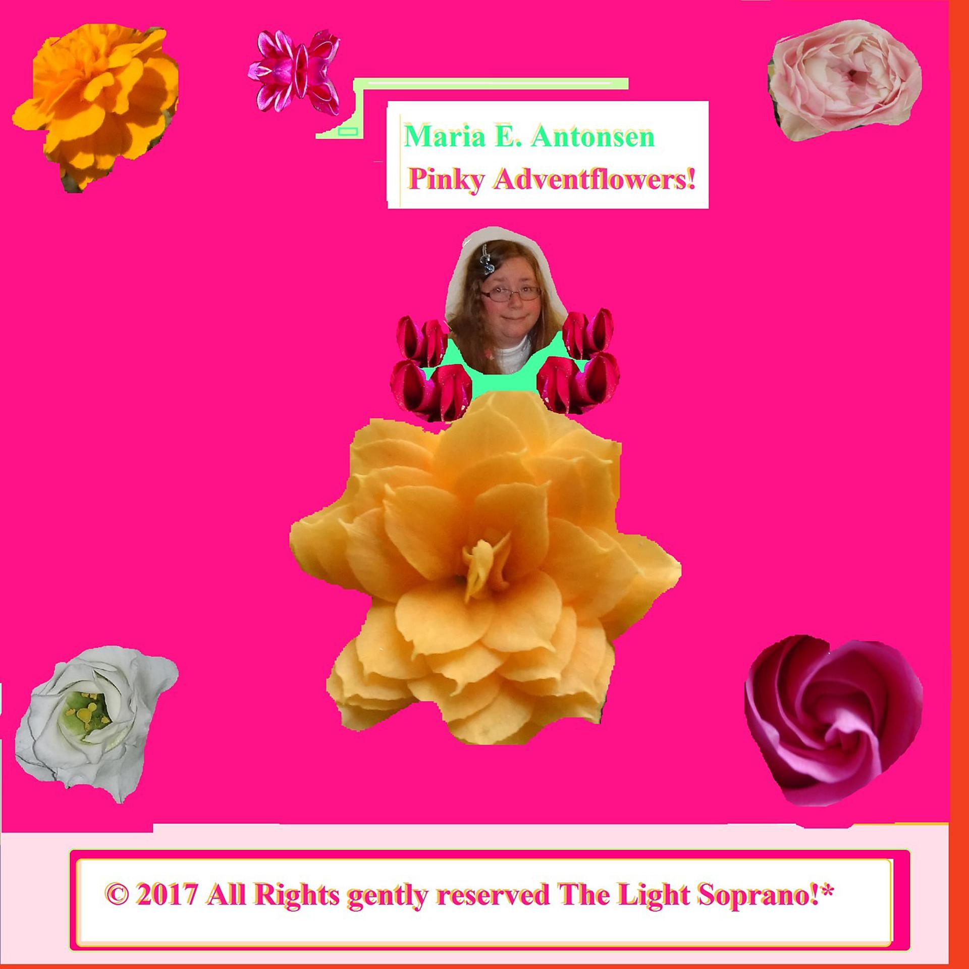 Постер альбома Pinky Adventflowers!