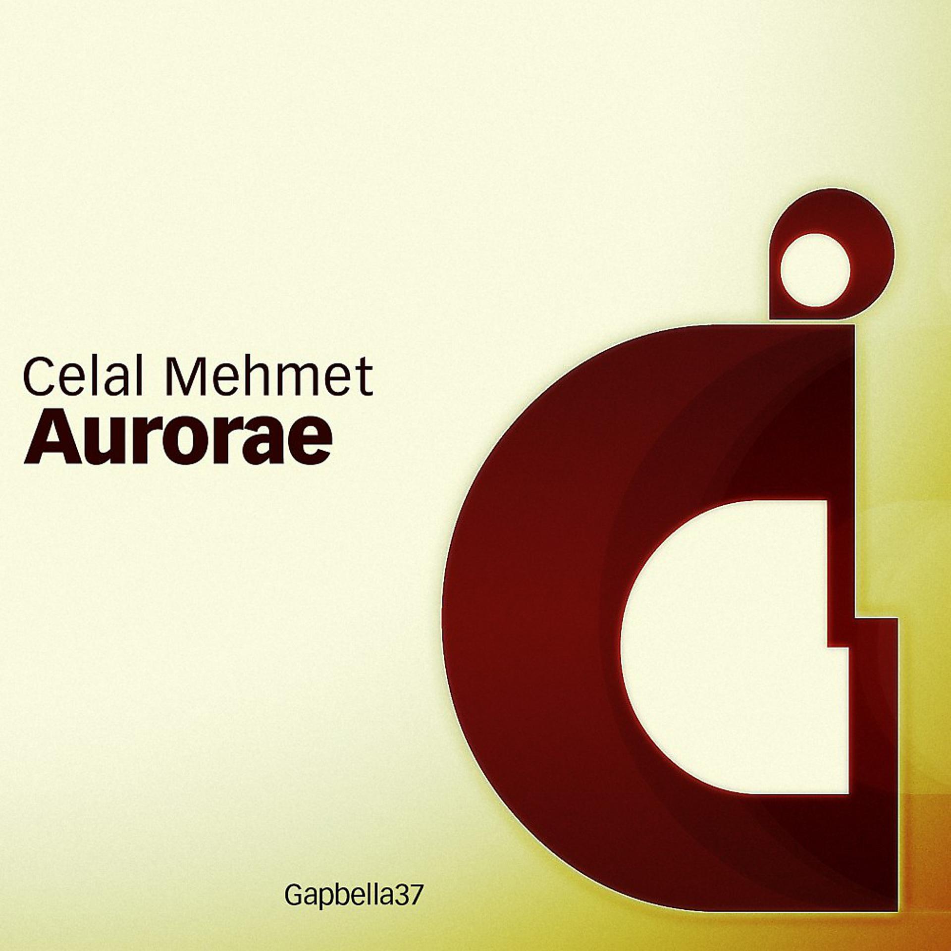 Постер альбома Aurorae