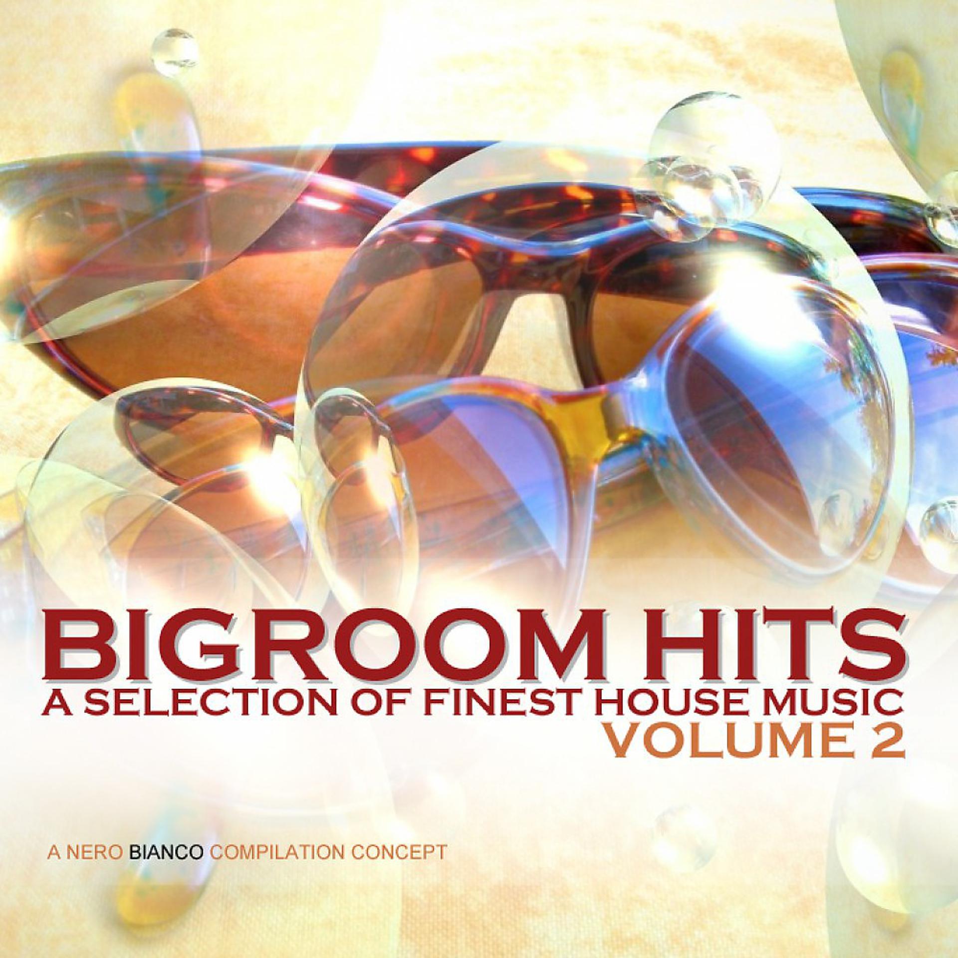 Постер альбома Bigroom Hits, Vol. 2