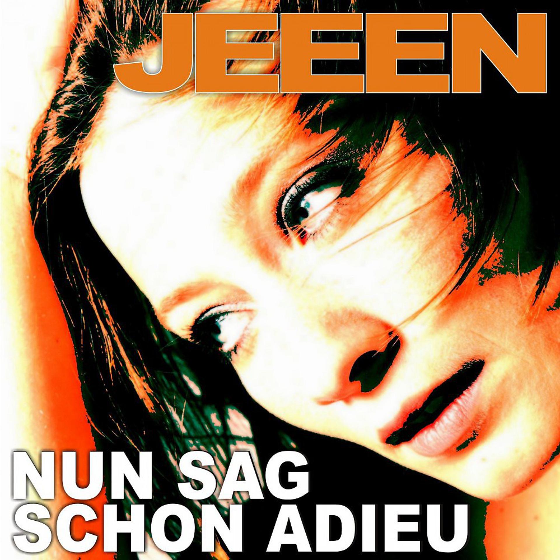 Постер альбома Nun sag schon Adieu (Discofox Version 2011)