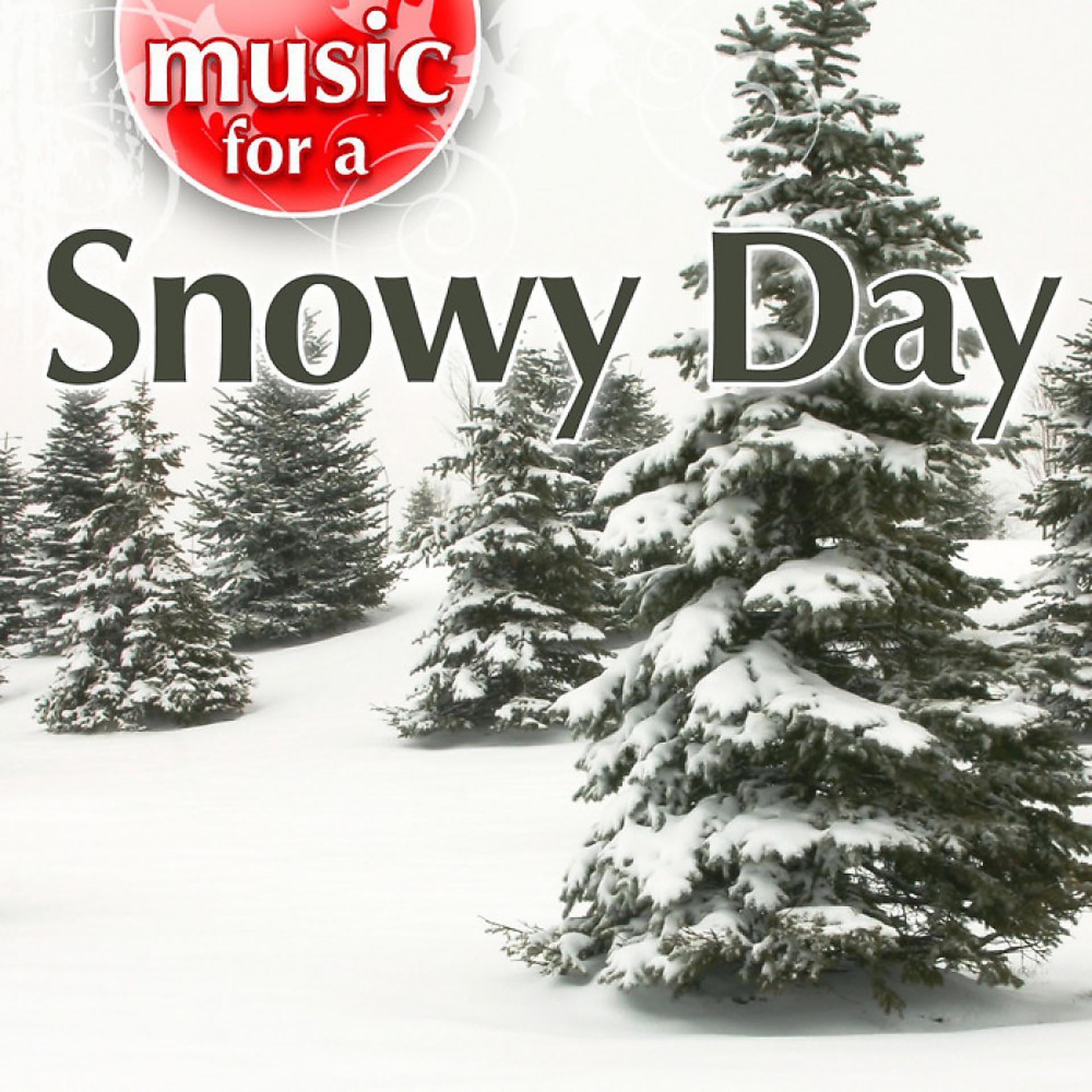 Постер альбома Music for a Snowy Day
