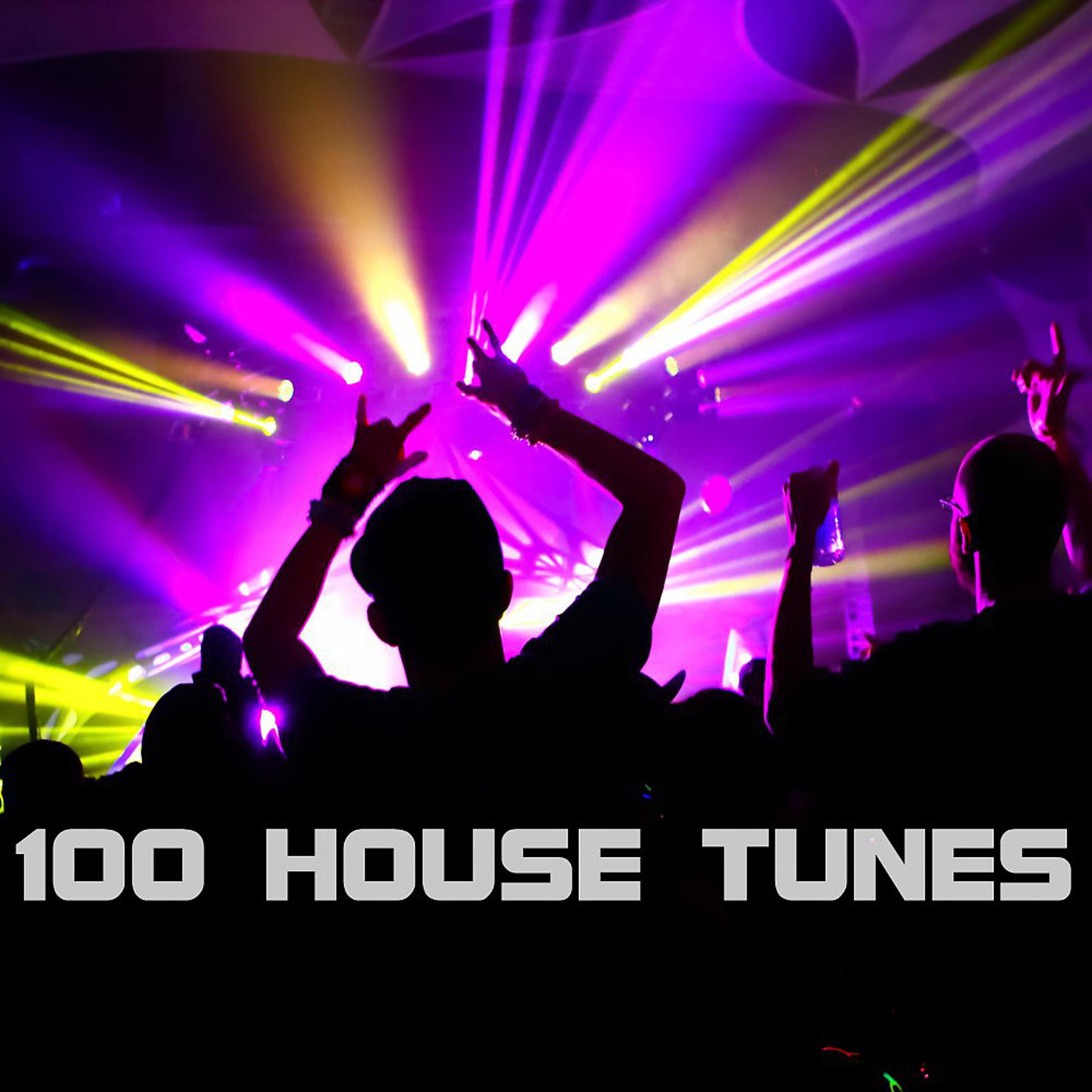 Постер альбома 100 House Tunes