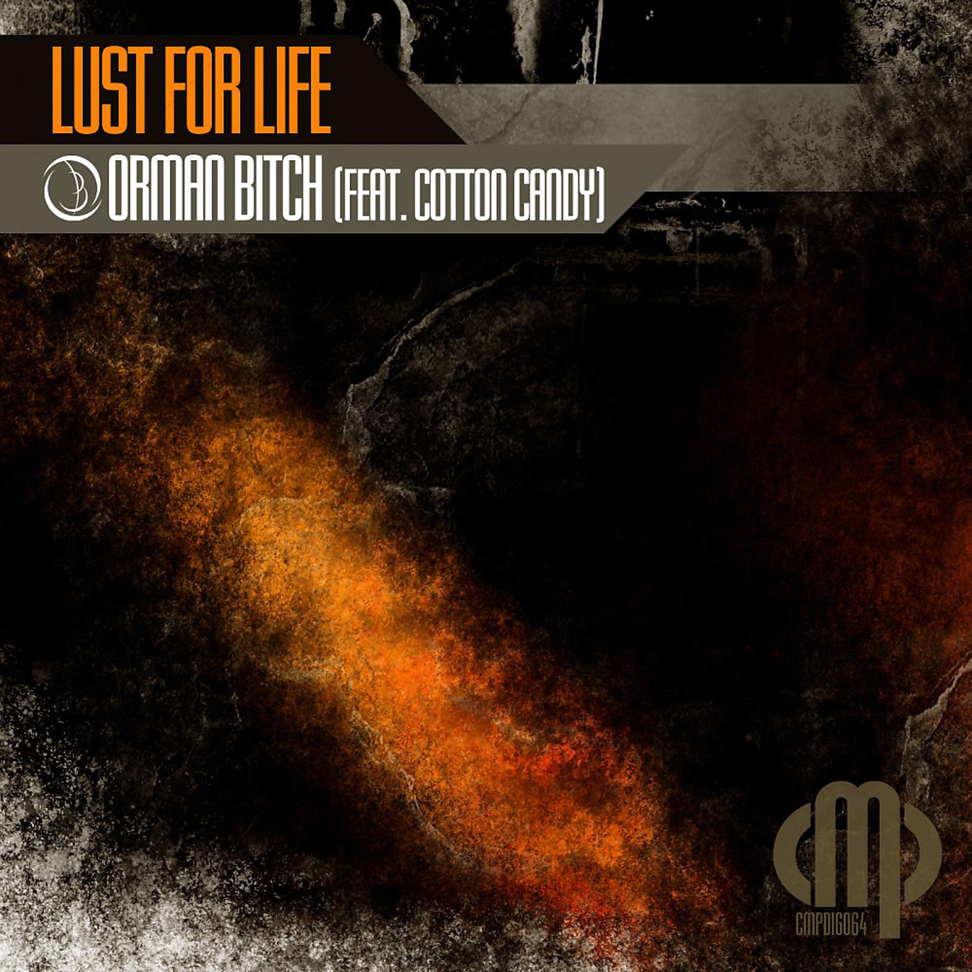 Постер альбома Lust for Life