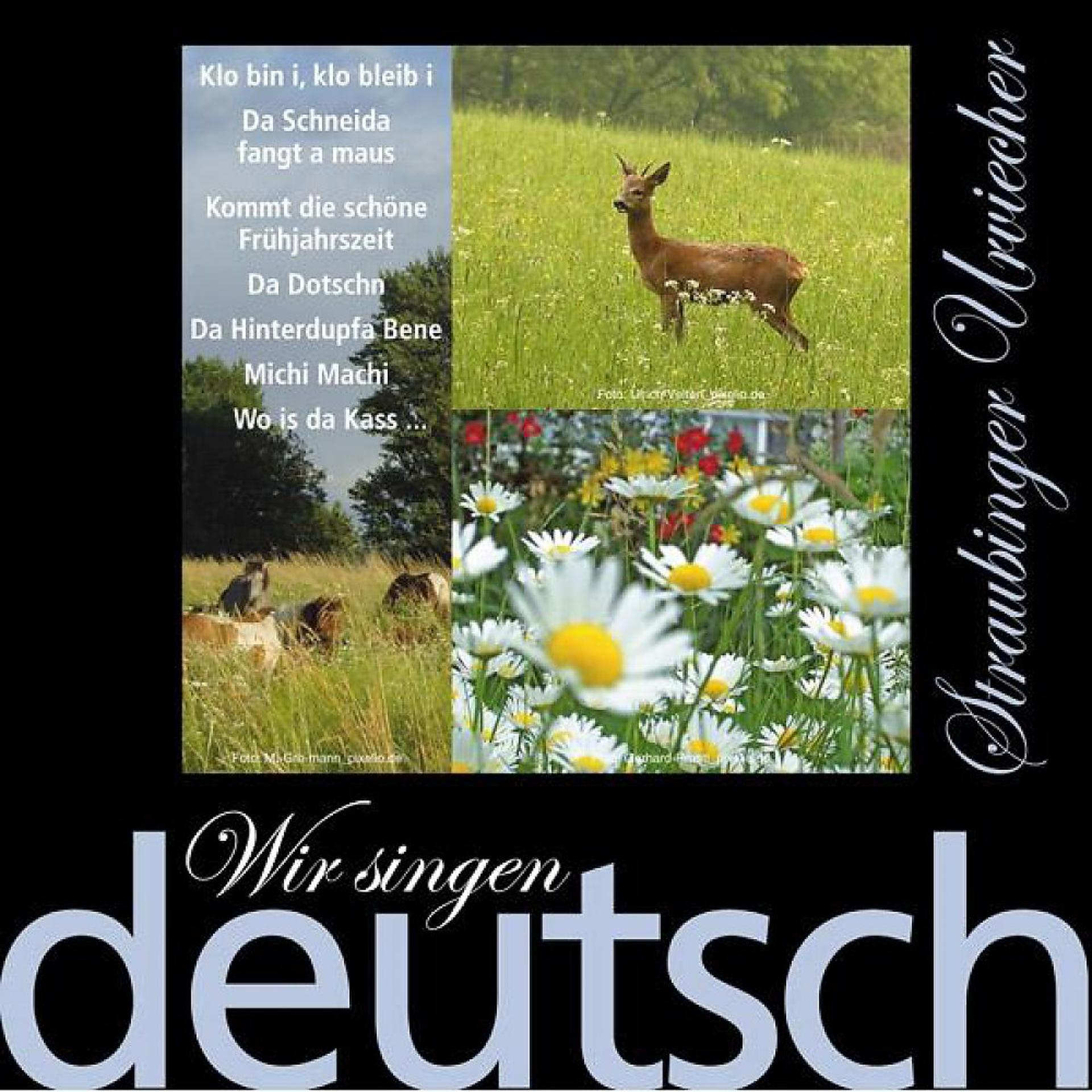 Постер альбома Wir singen deutsch - Klo bin i, klo bleib i