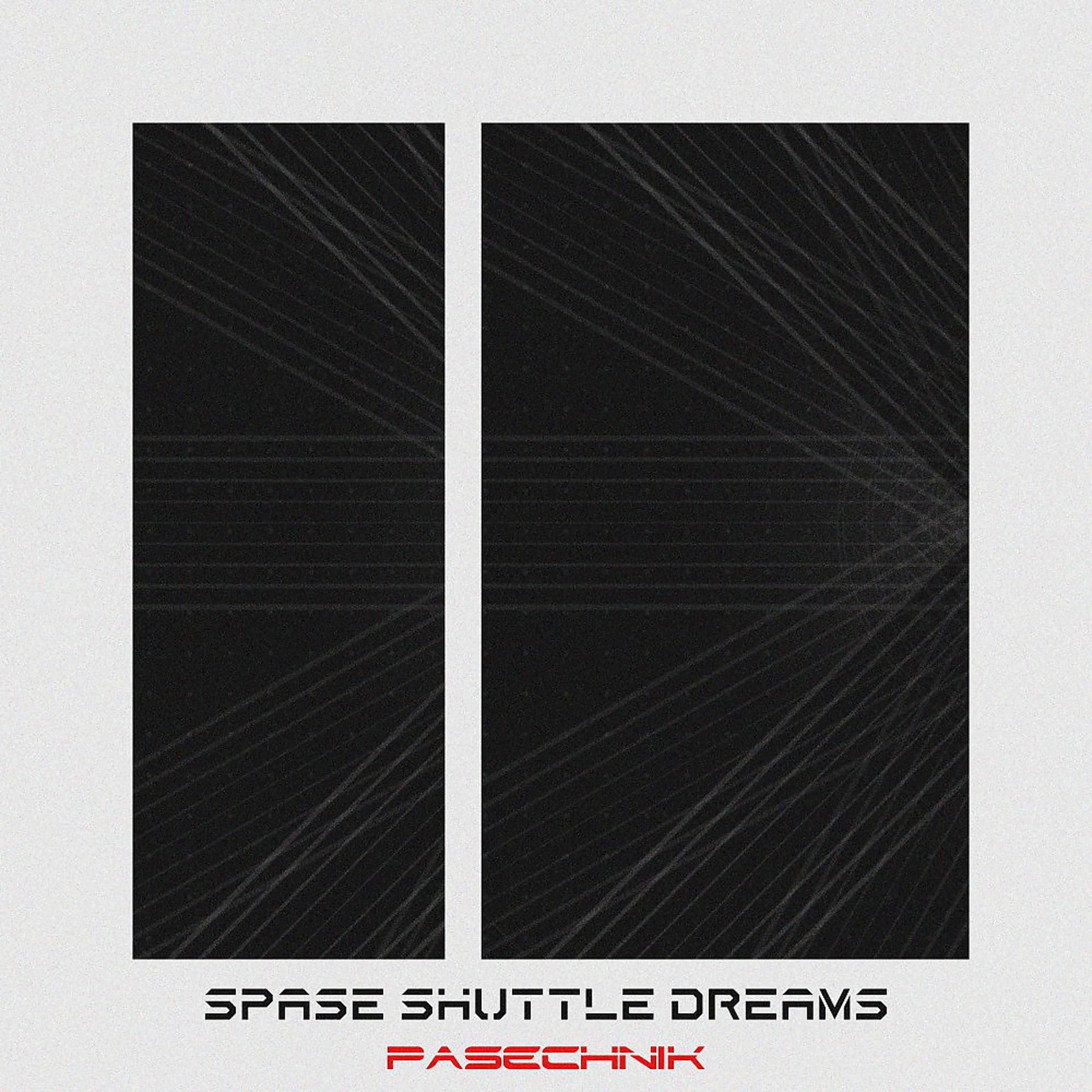 Постер альбома Spase Shuttle Dreams