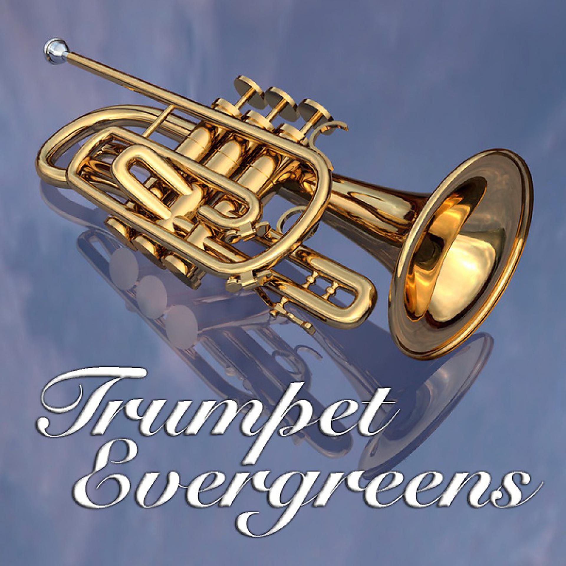Постер альбома Trumpet Evergreens