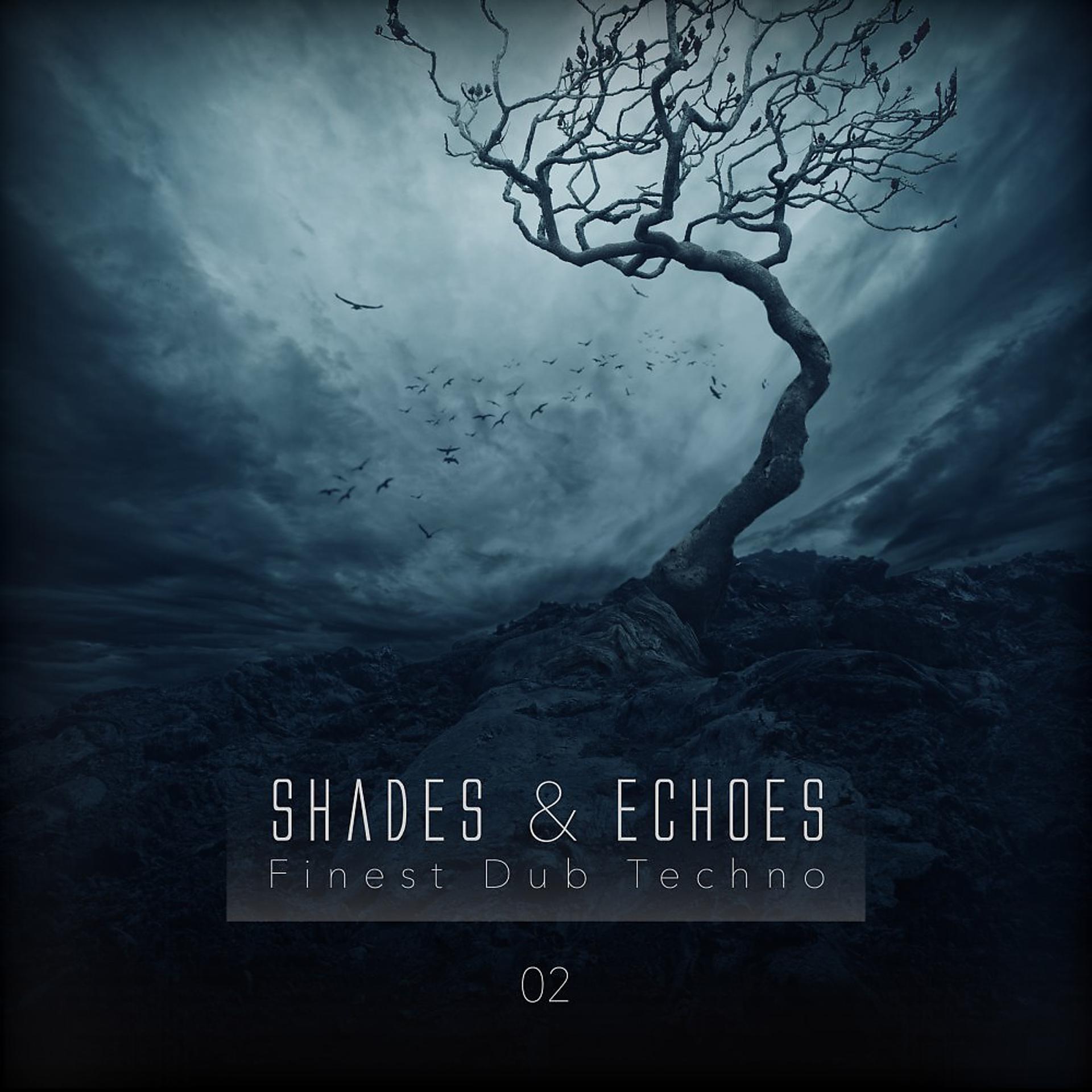 Постер альбома Shades & Echoes - Finest Dub Techno, Vol. 2
