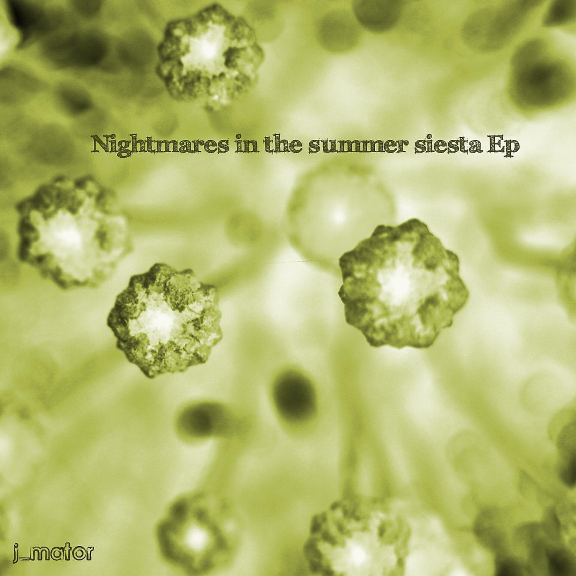Постер альбома Nightmares in the summer siesta