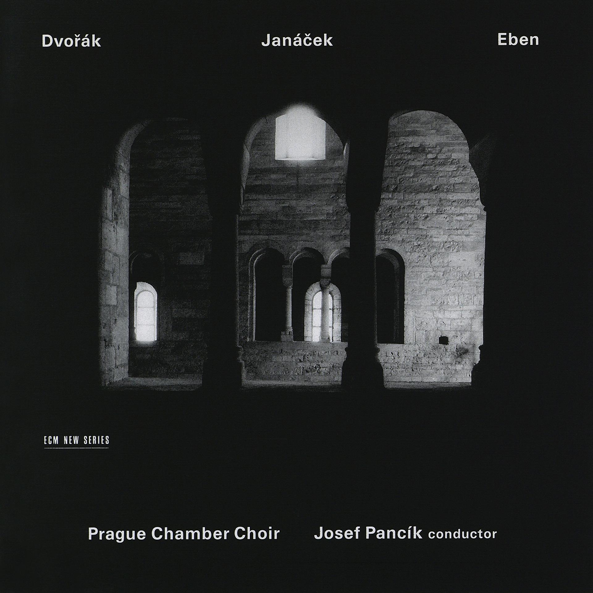 Постер альбома Dvorák - Janácek - Eben
