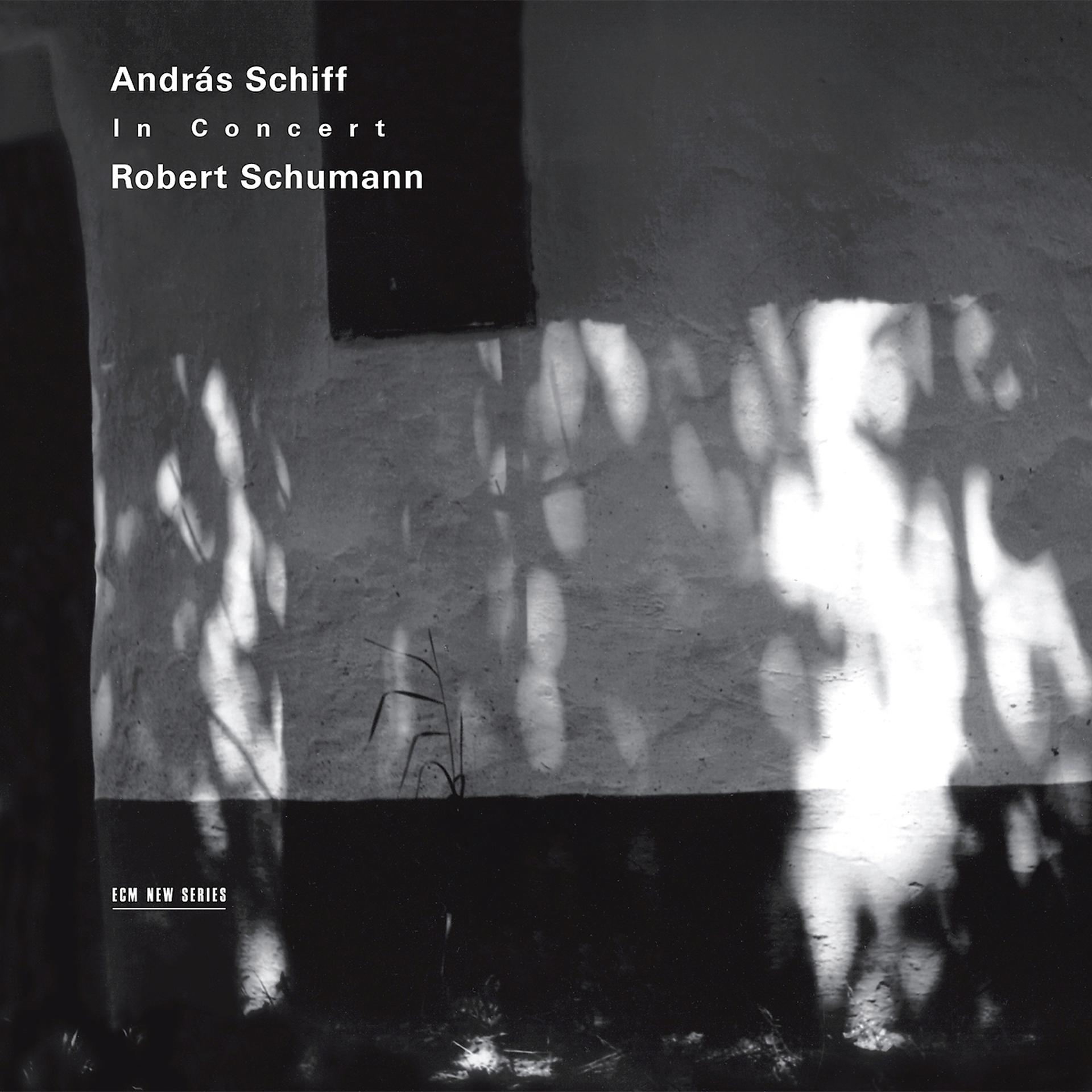 Постер альбома Schumann: In Concert