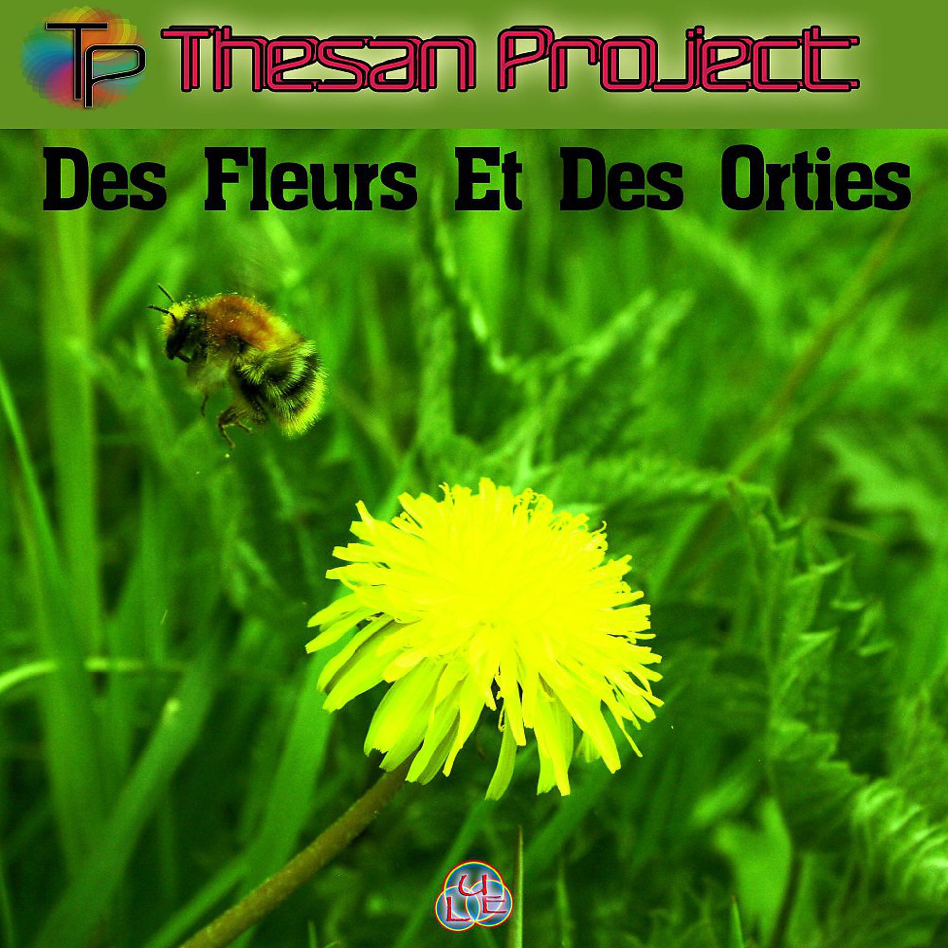 Постер альбома Des Fleurs et des orties