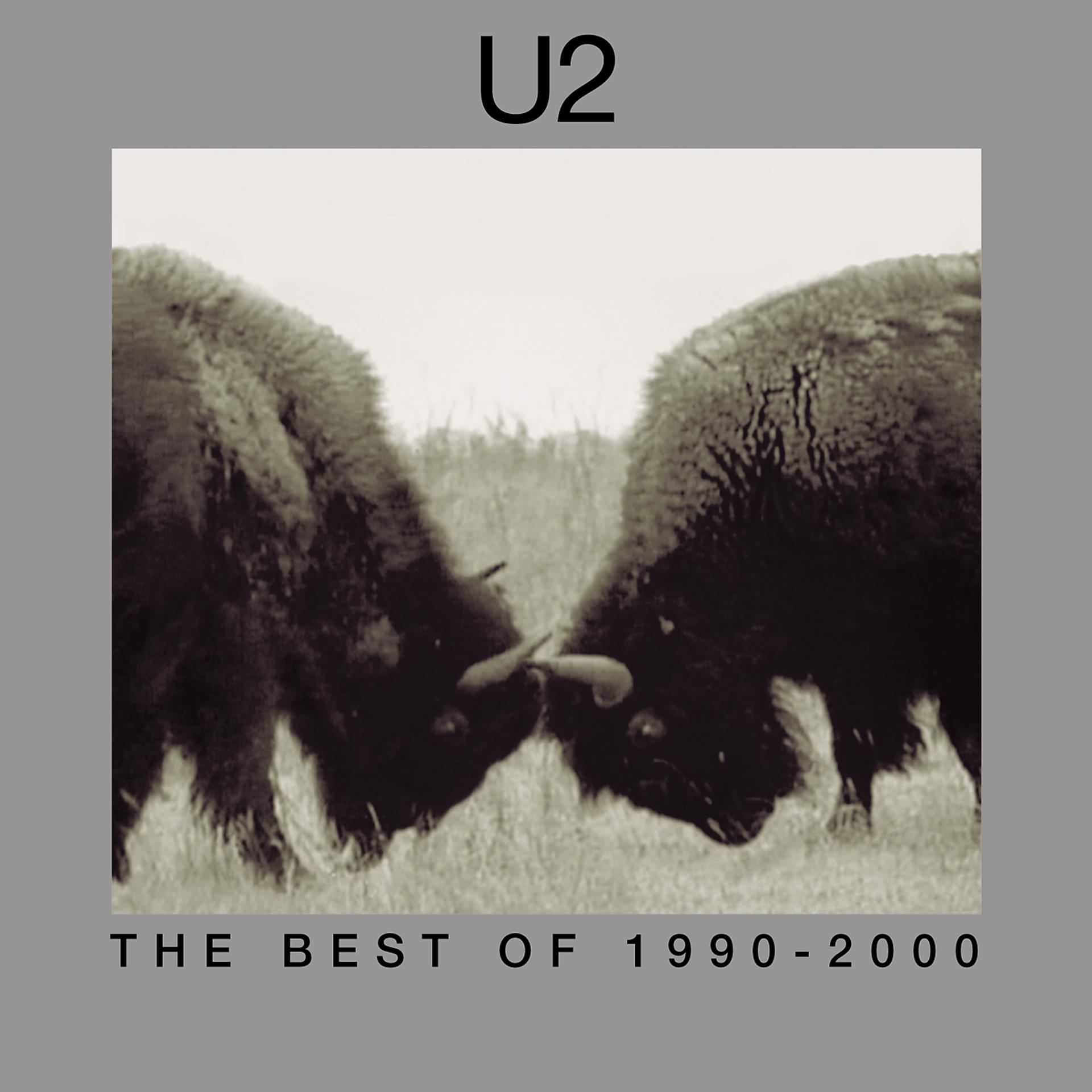 Постер альбома The Best Of 1990-2000 & B-Sides