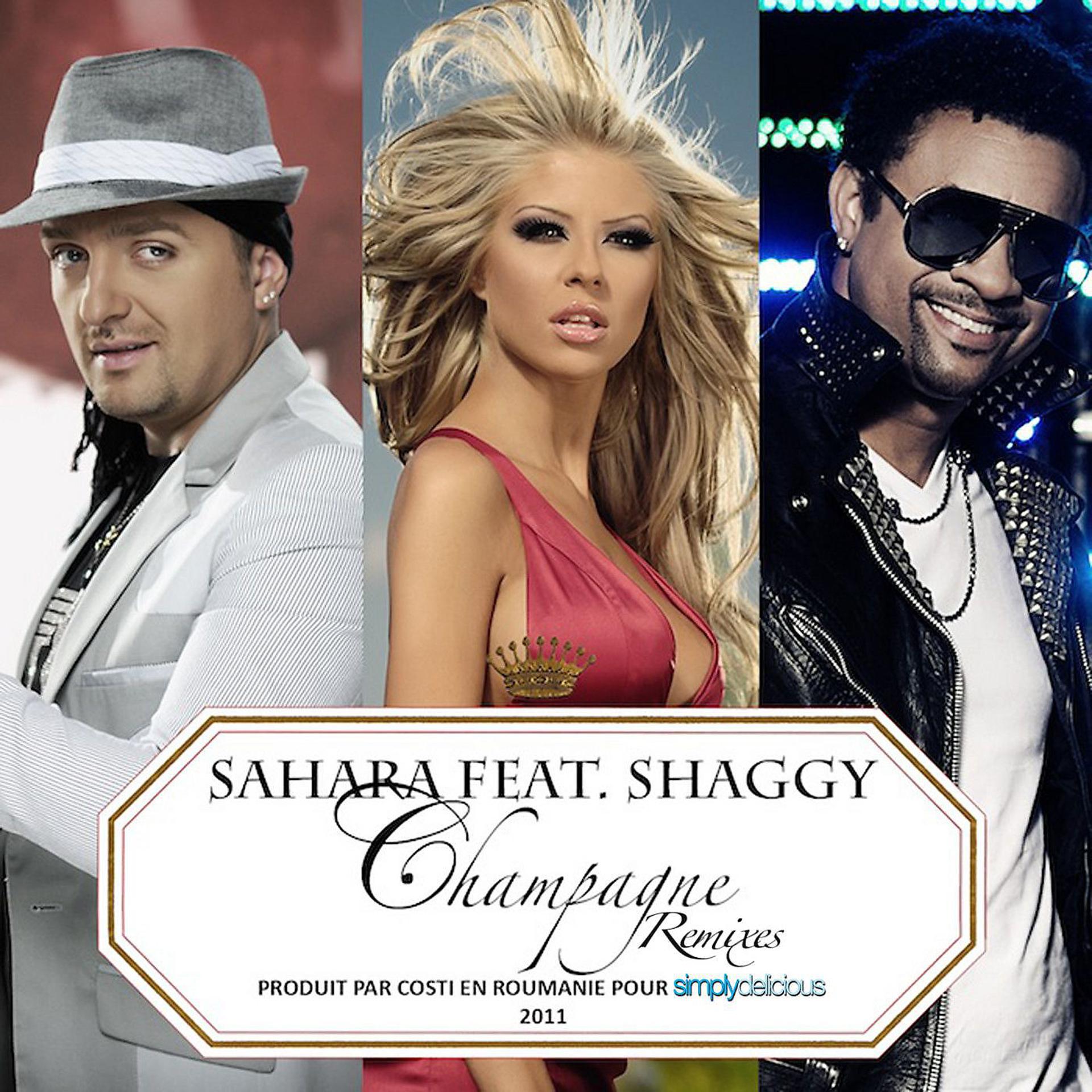 Постер альбома Champagne (feat. Shaggy) [Remixes]