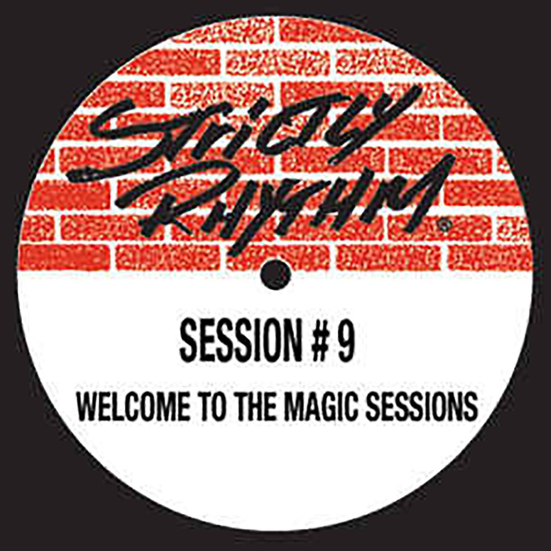 Постер альбома Welcome to the Magic Sessions (Remixes)